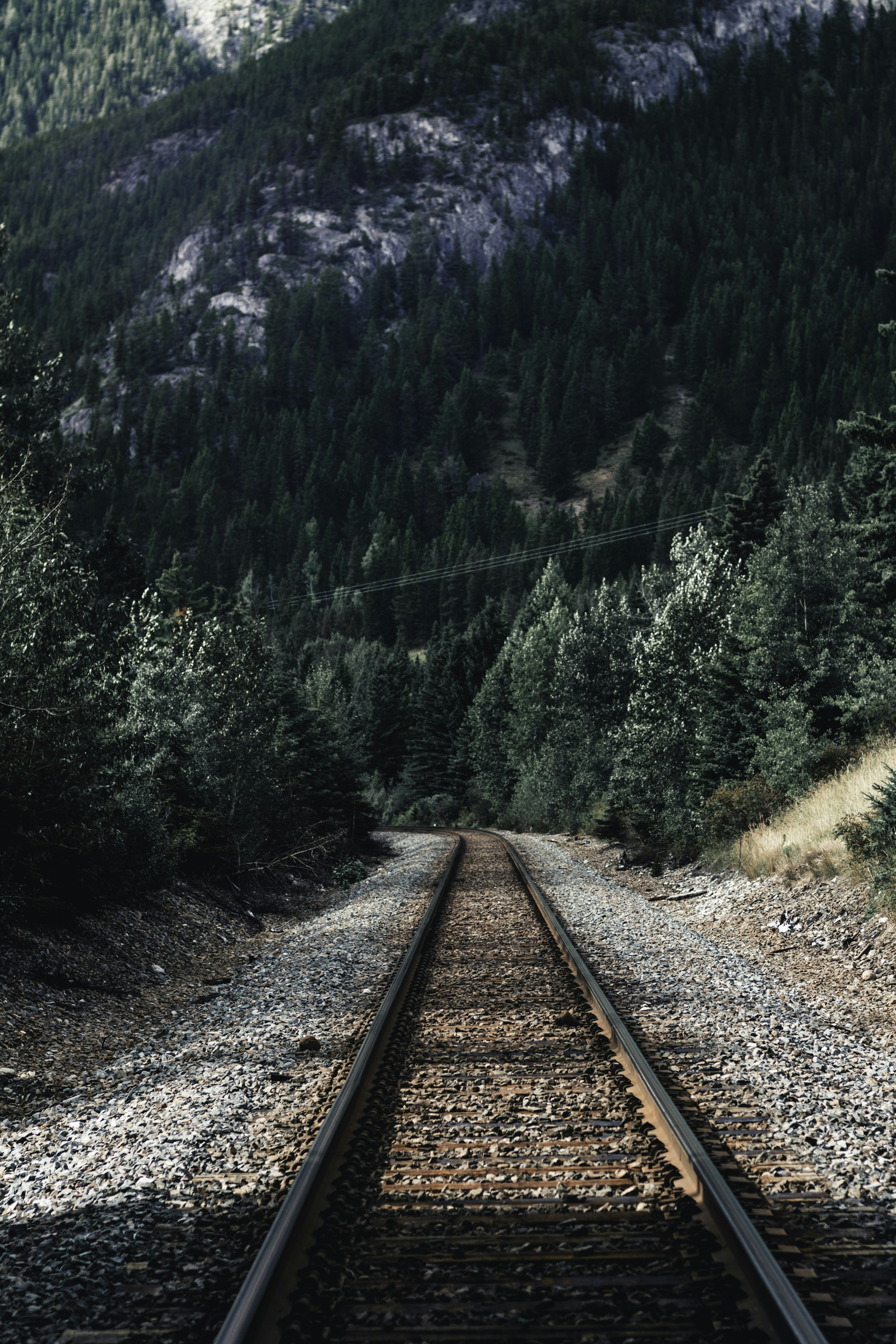 Photo by lureofadventure