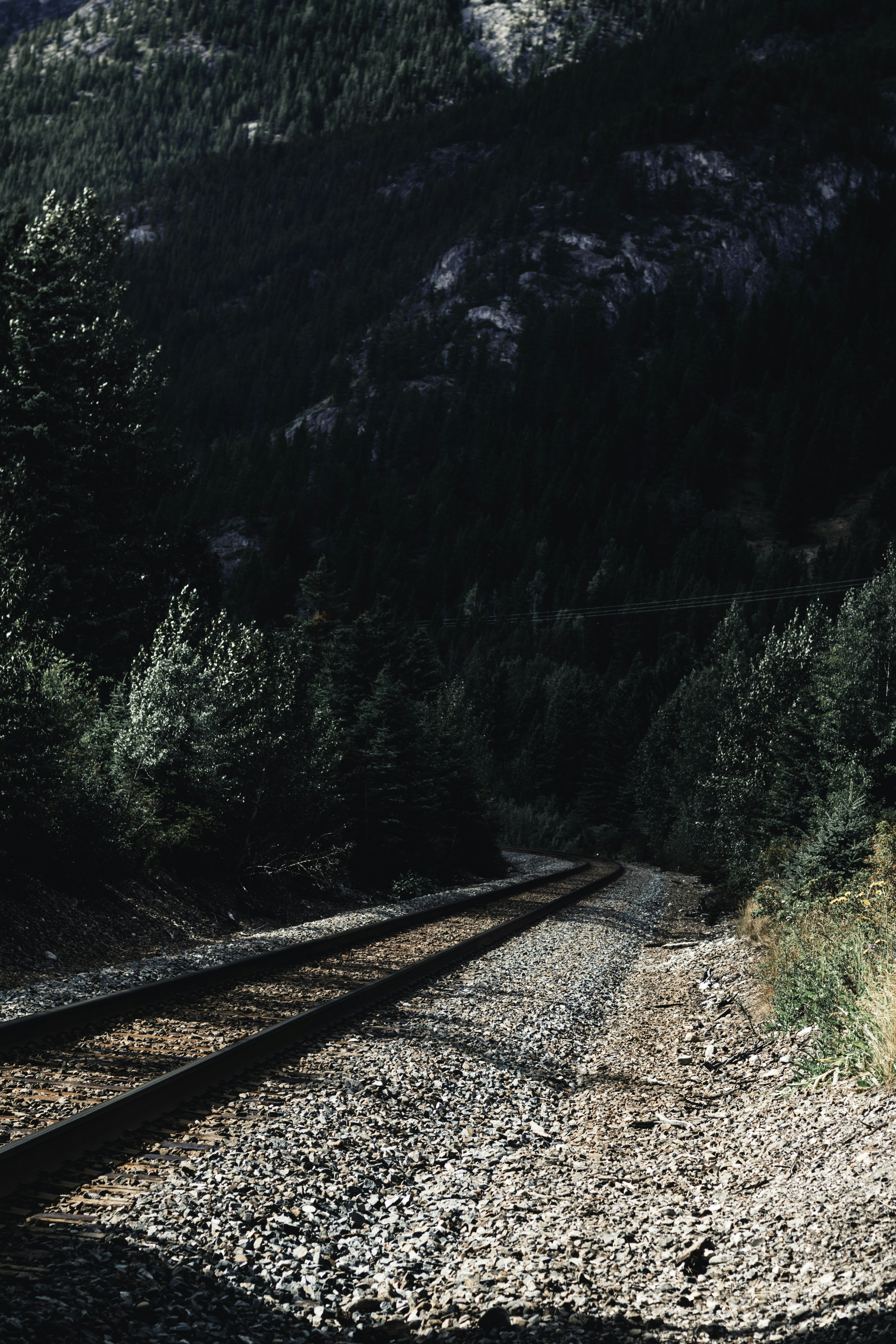 Photo by lureofadventure