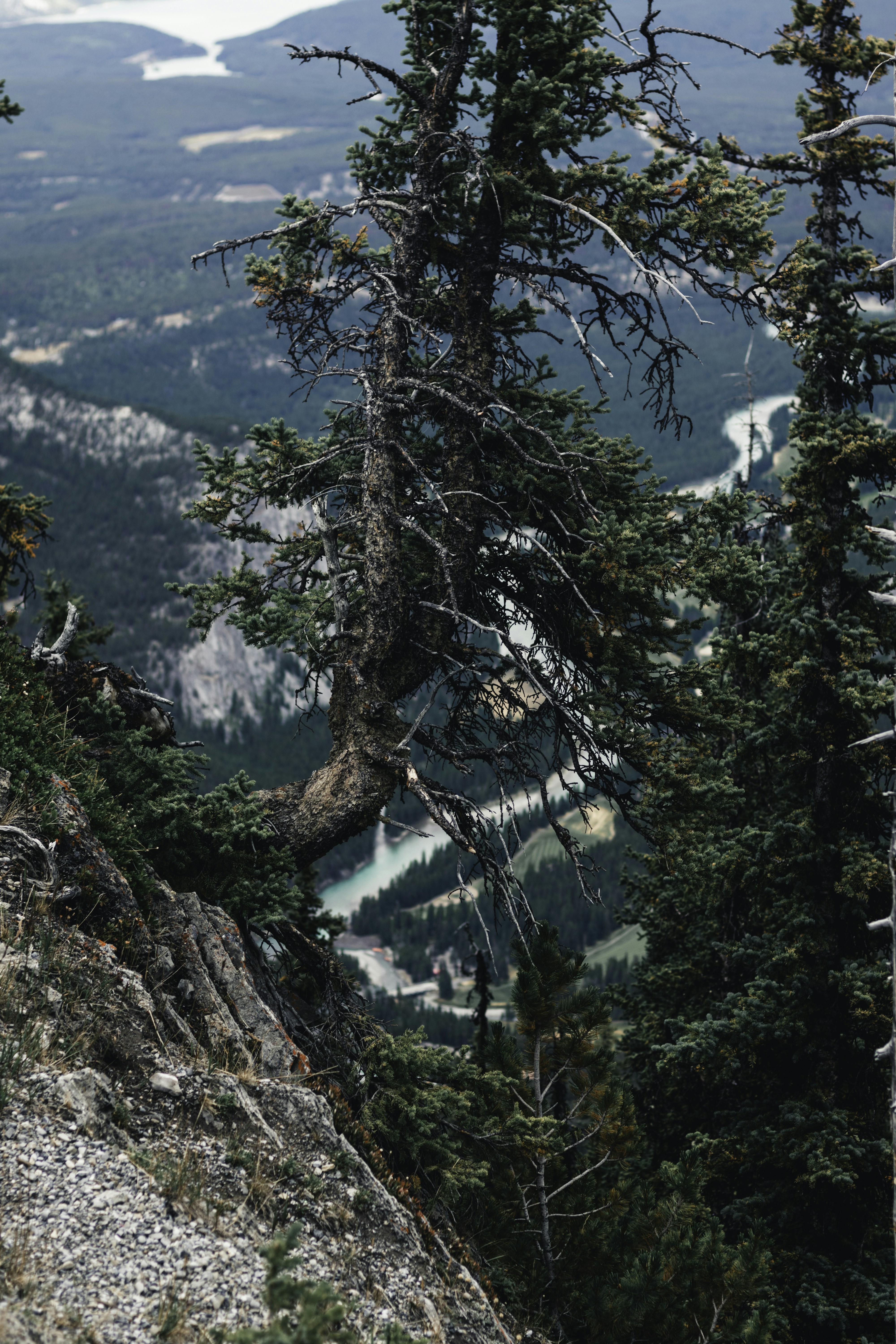 Photo by lureofadventure