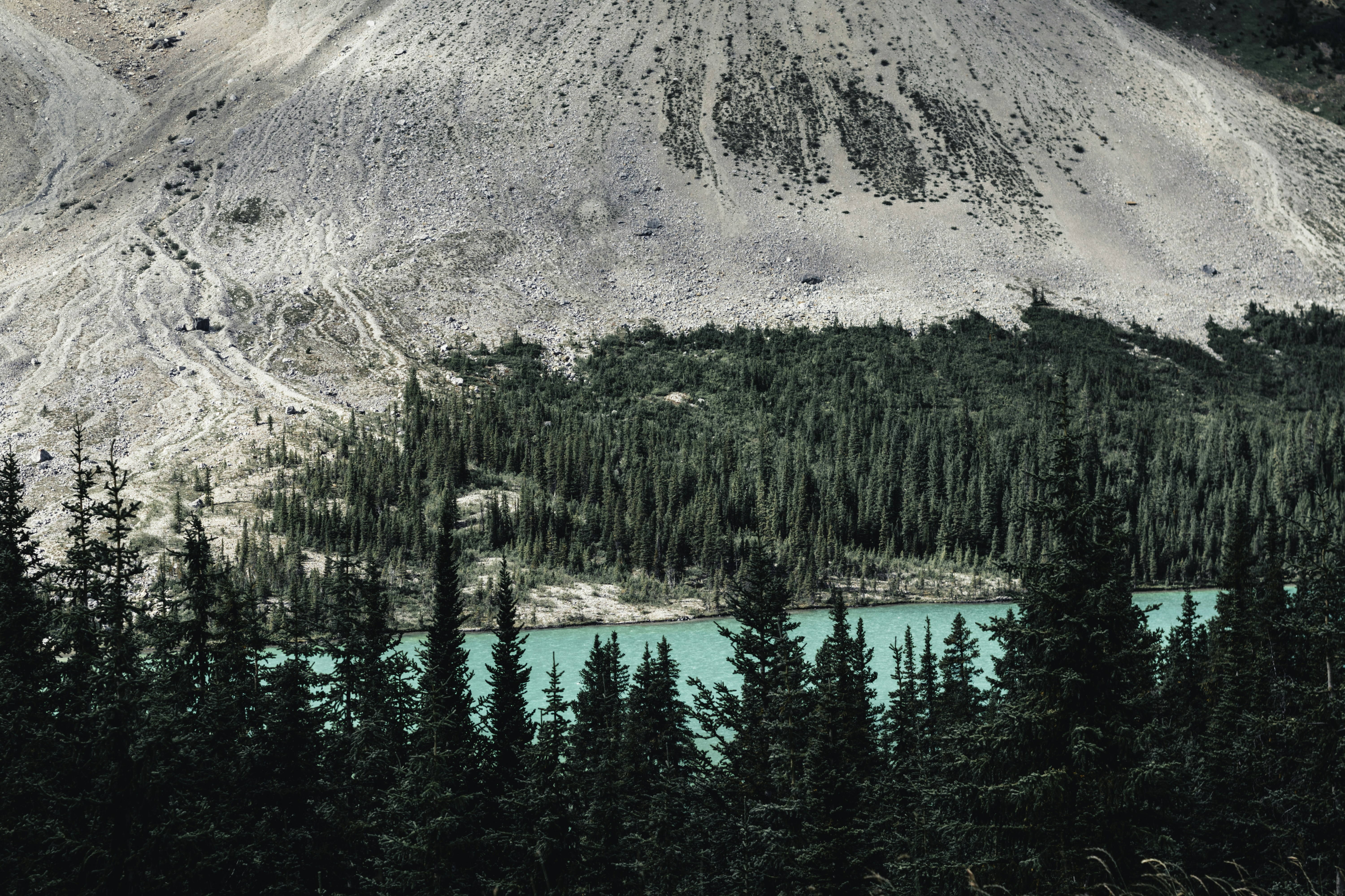 Photo by lureofadventure