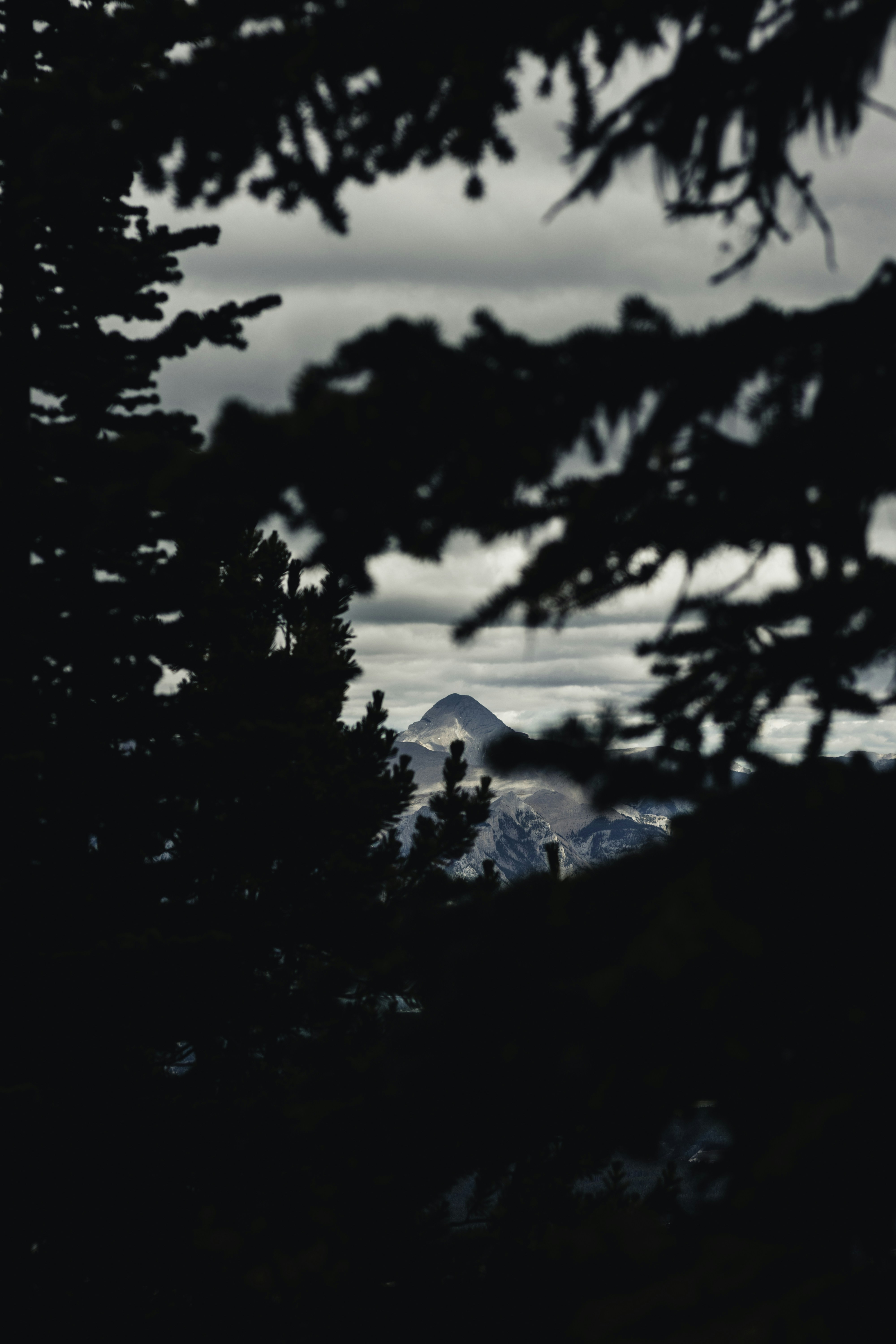 Photo by lureofadventure