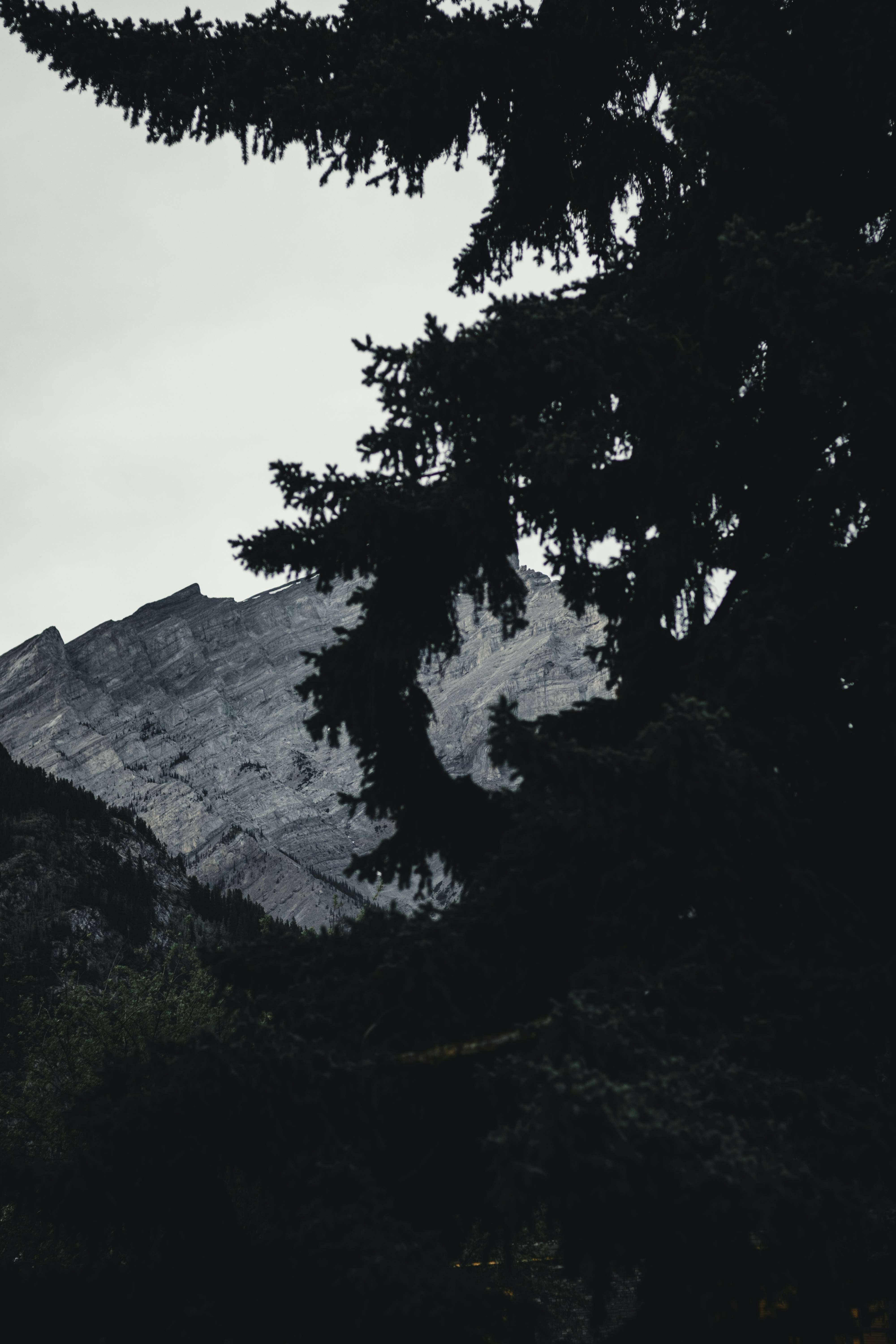 Photo by lureofadventure