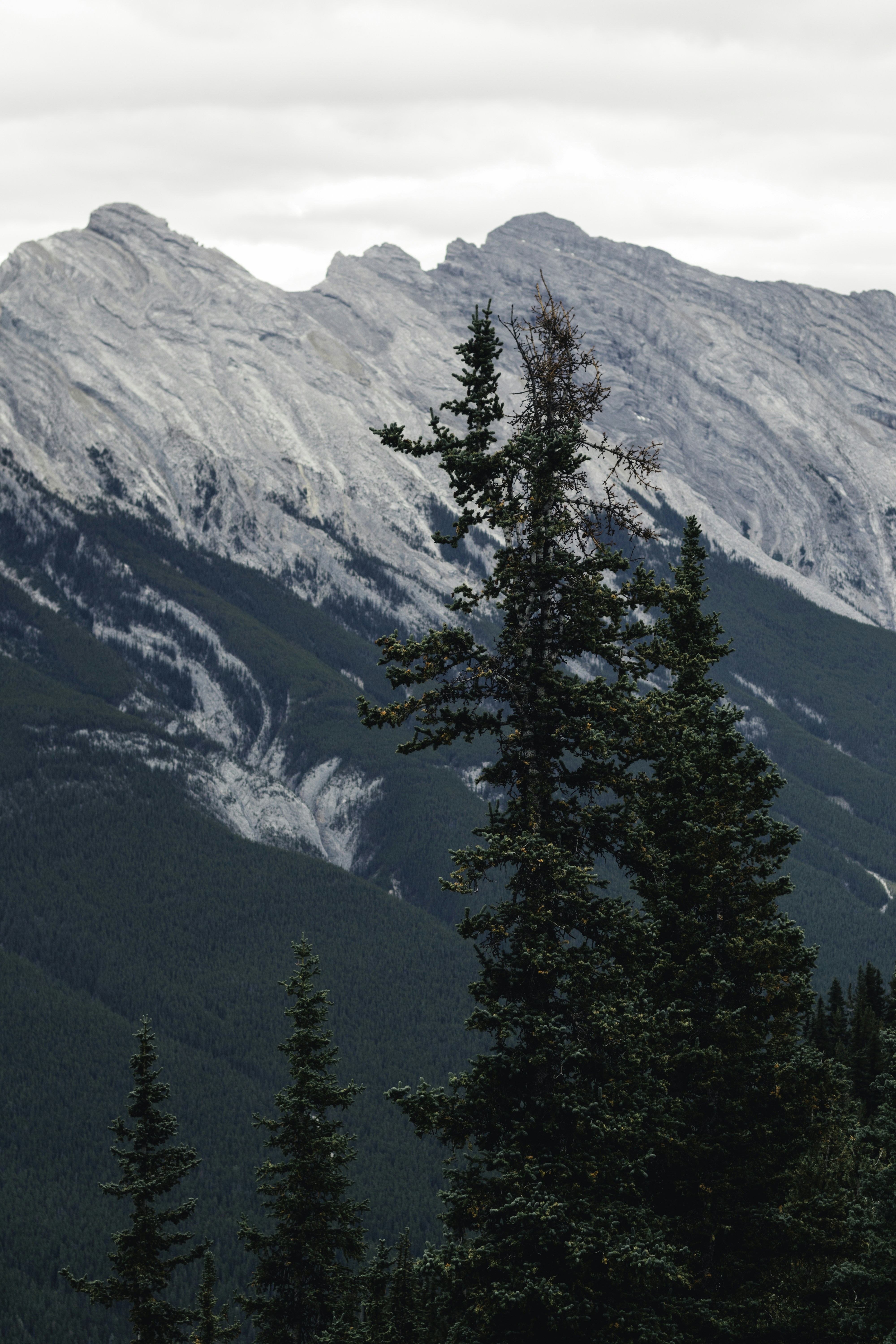 Photo by lureofadventure