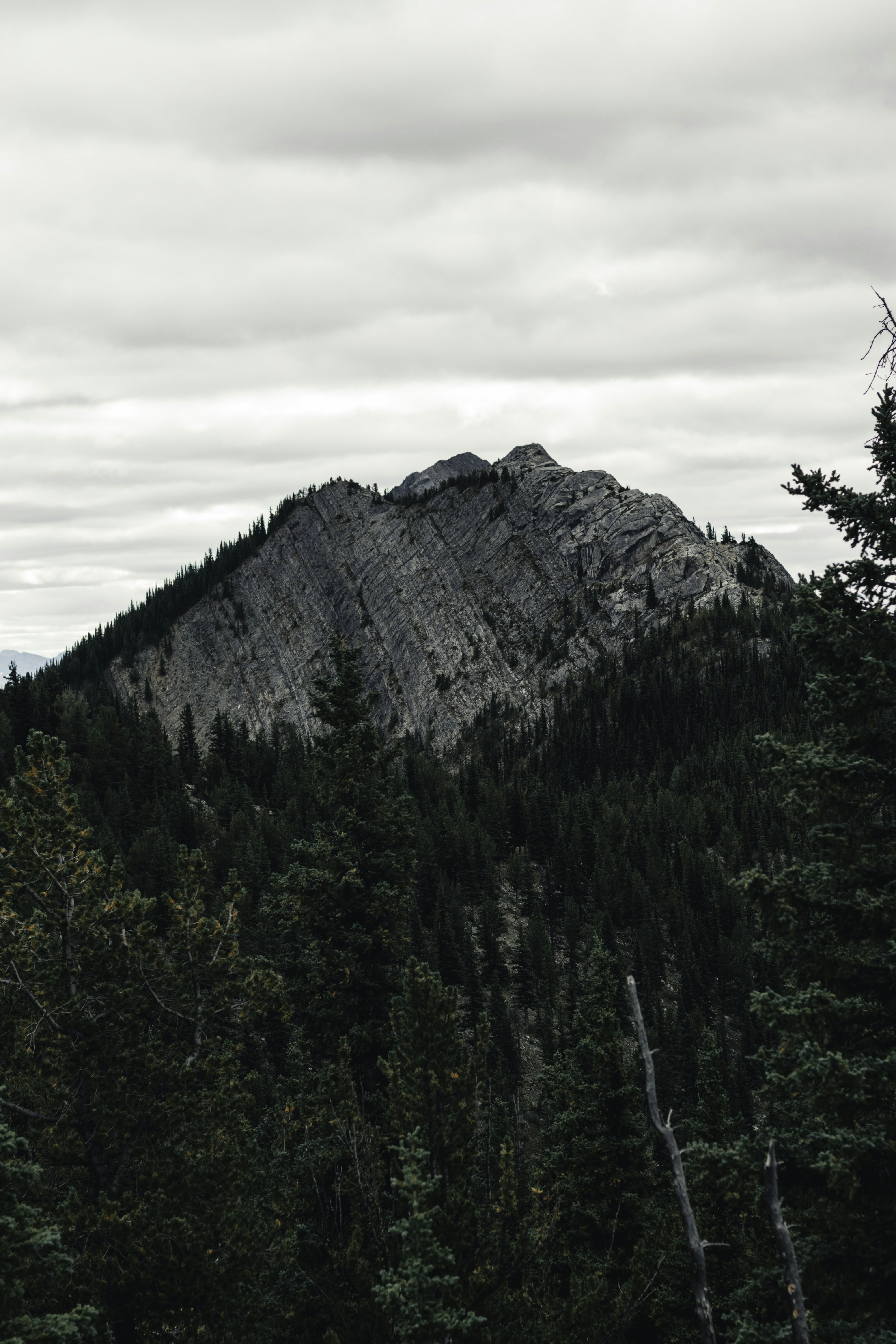 Photo by lureofadventure