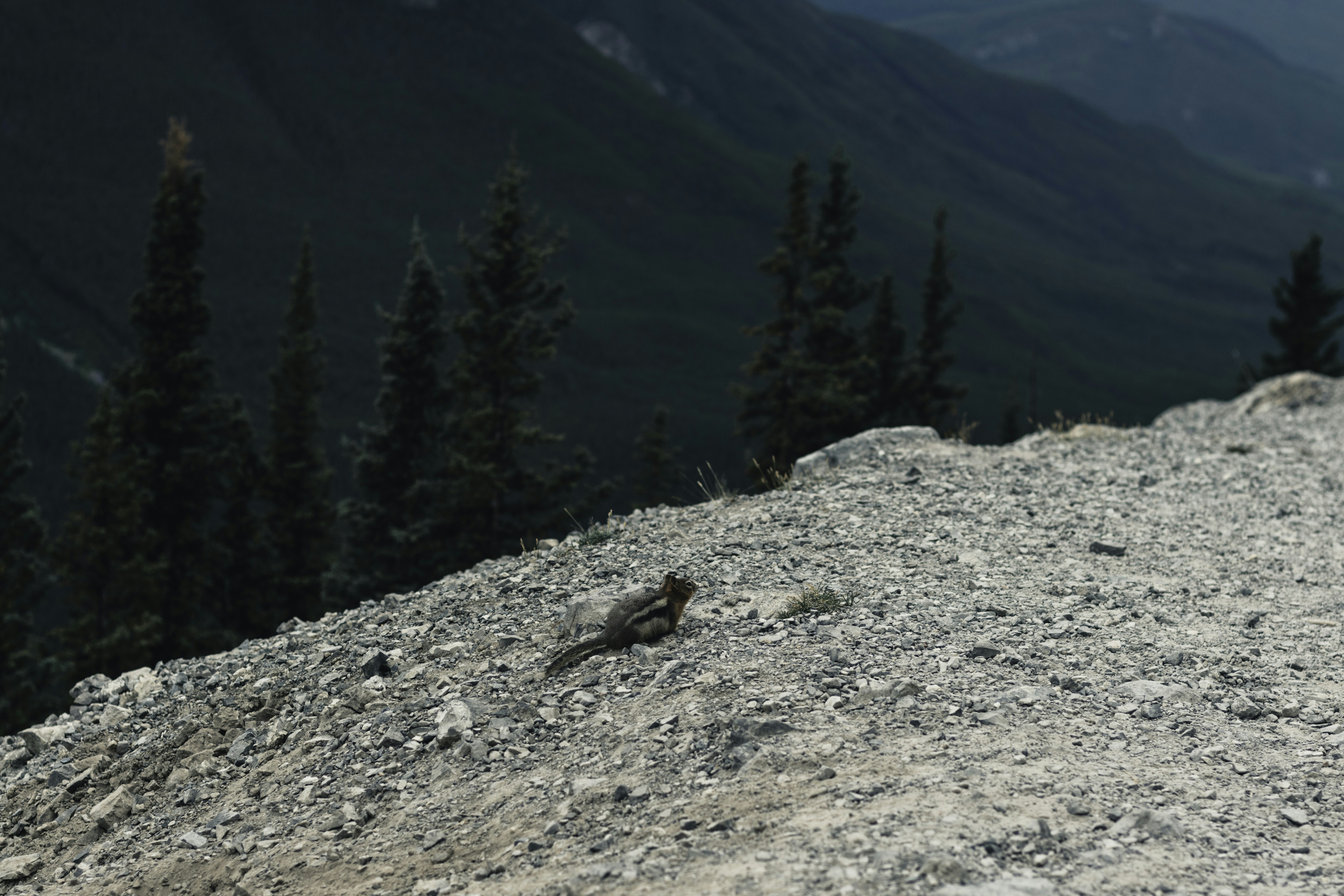 Photo by lureofadventure