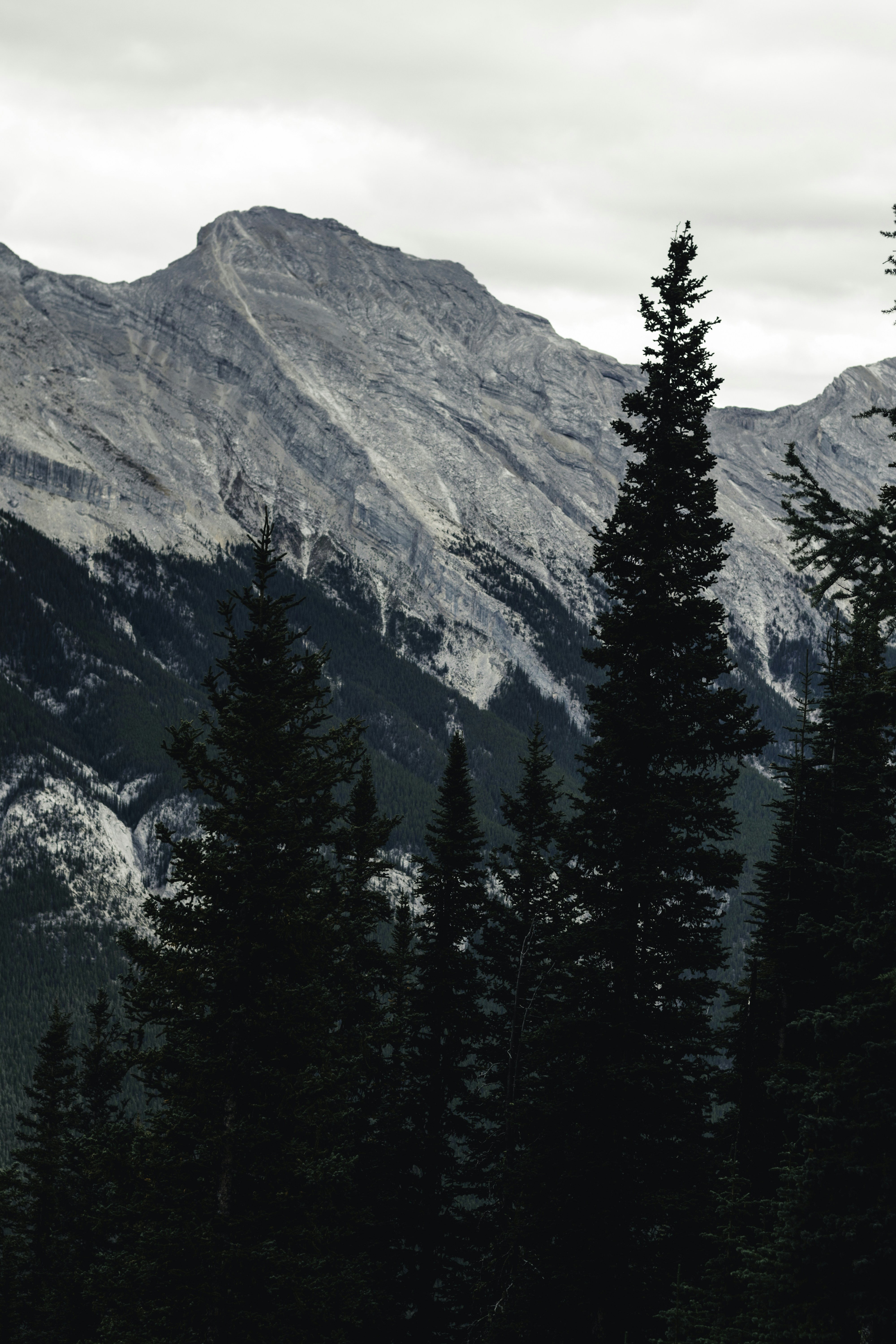 Photo by lureofadventure