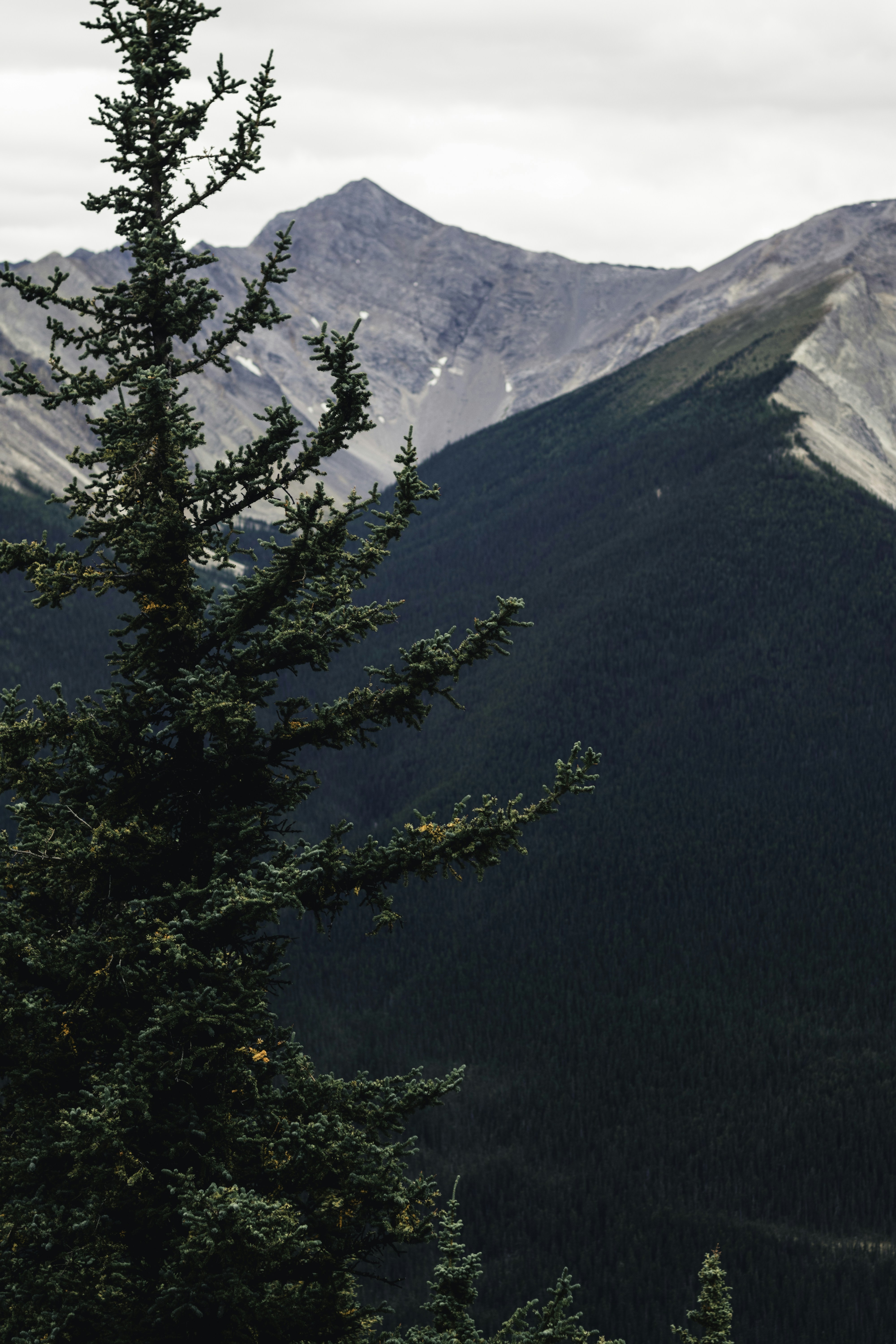 Photo by lureofadventure