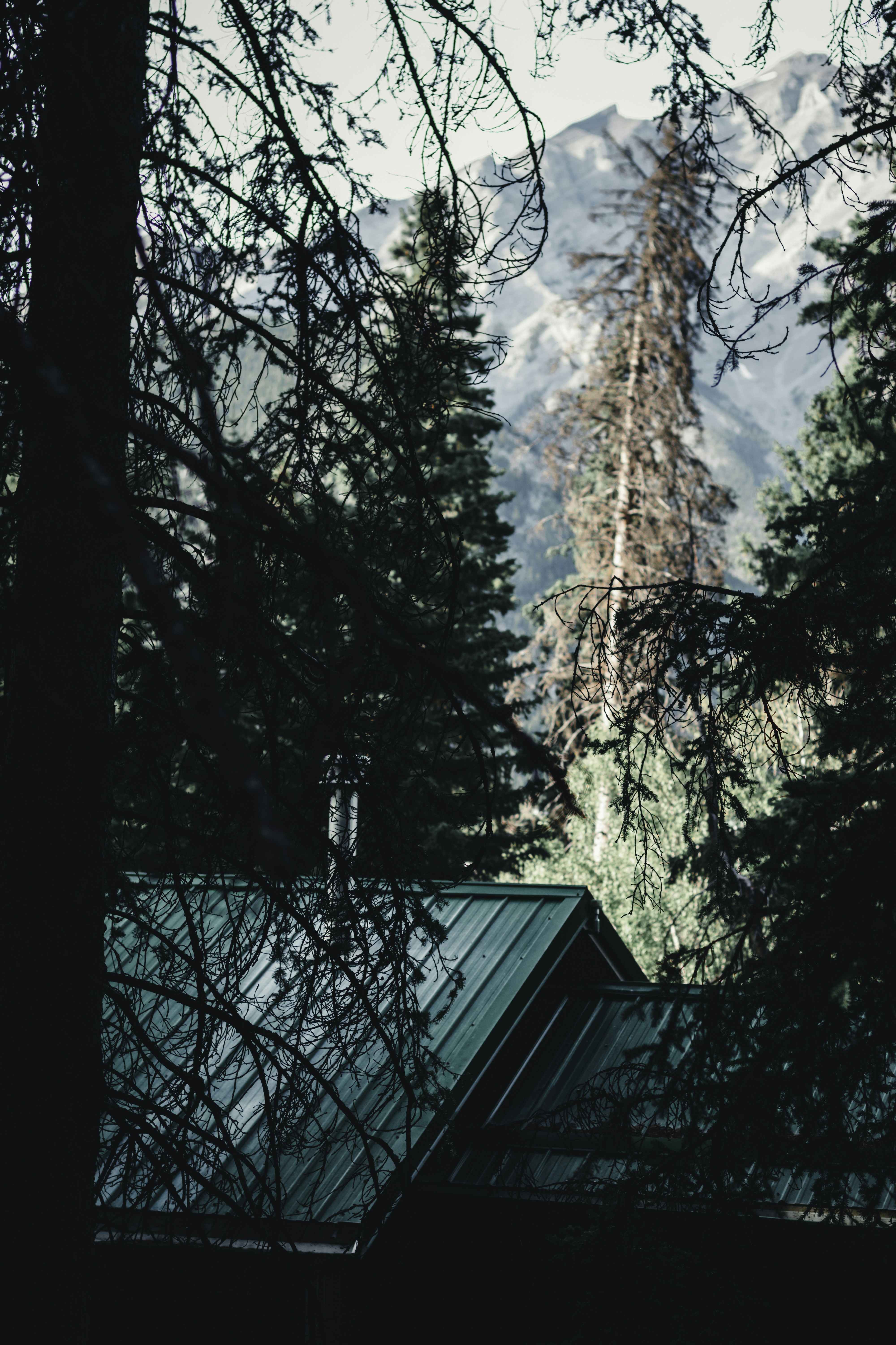 Photo by lureofadventure