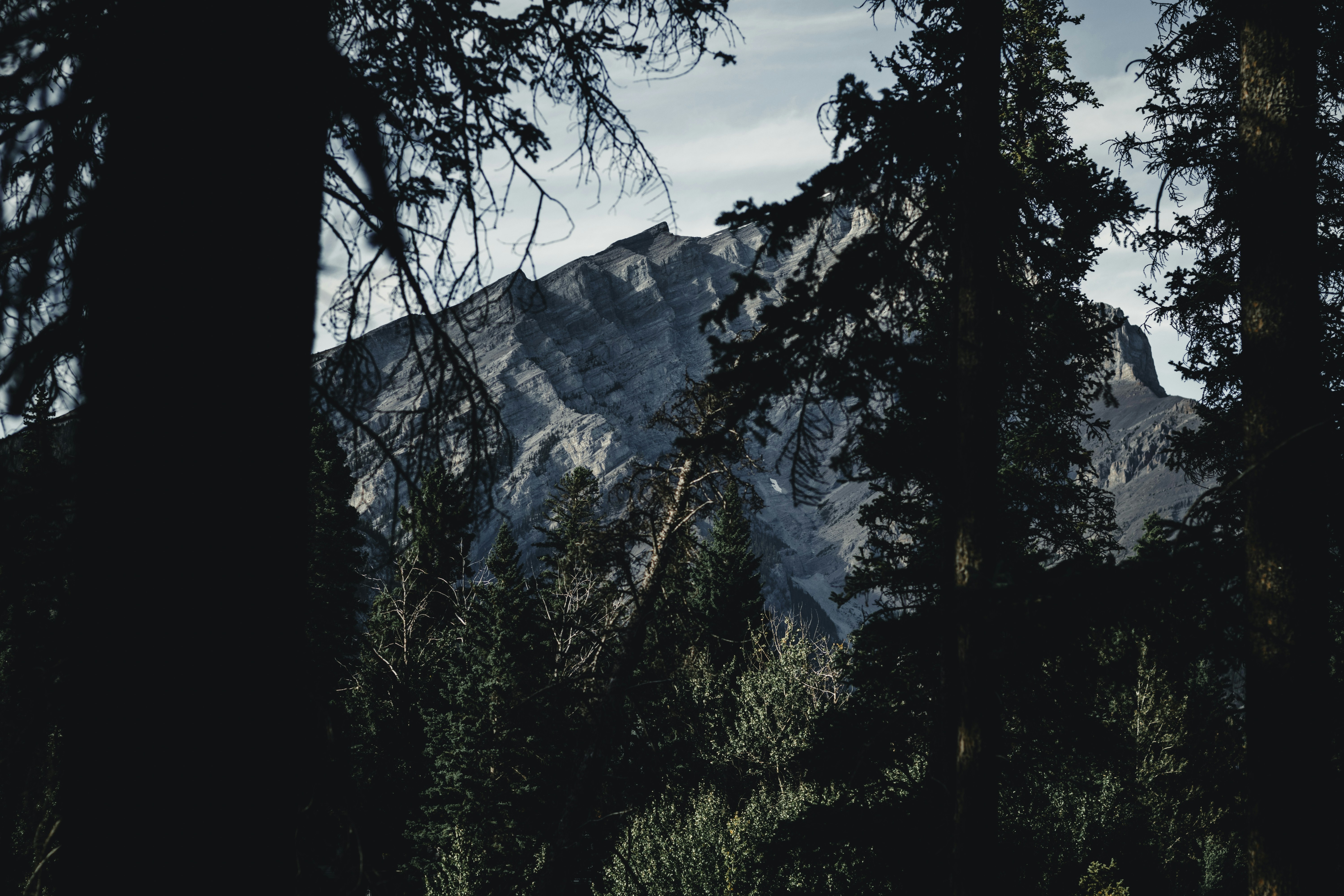 Photo by lureofadventure