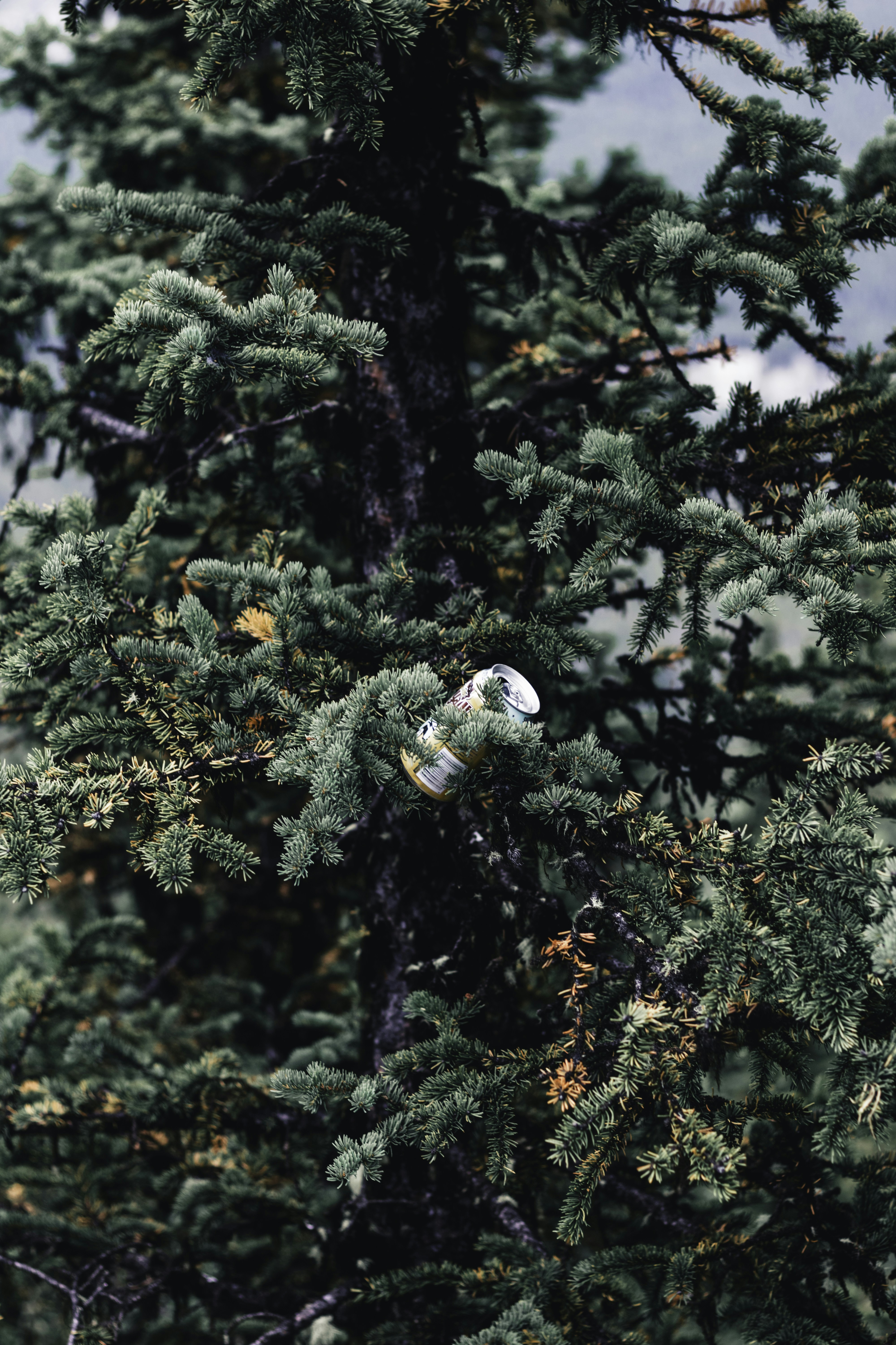 Photo by lureofadventure