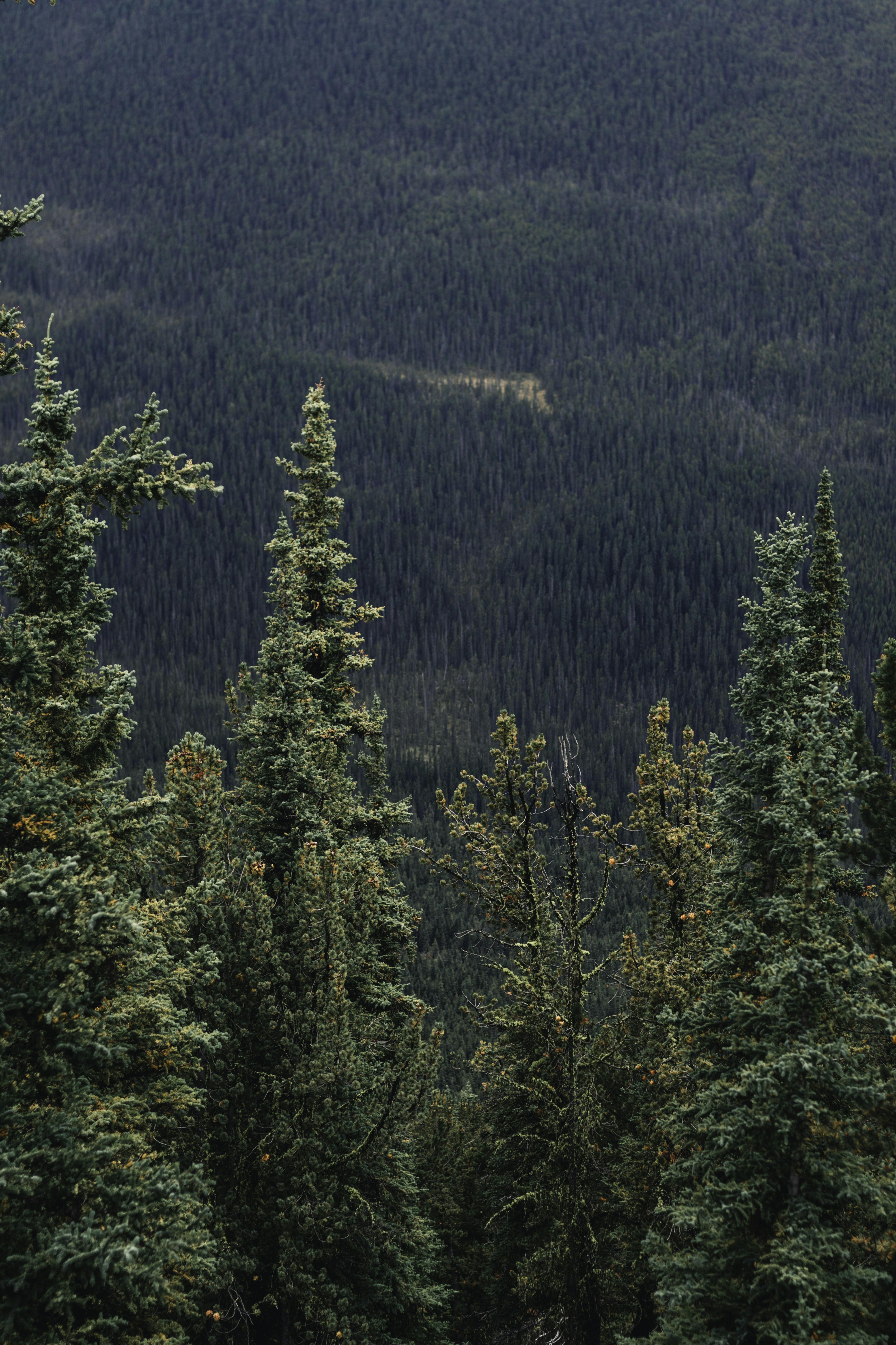 Photo by lureofadventure