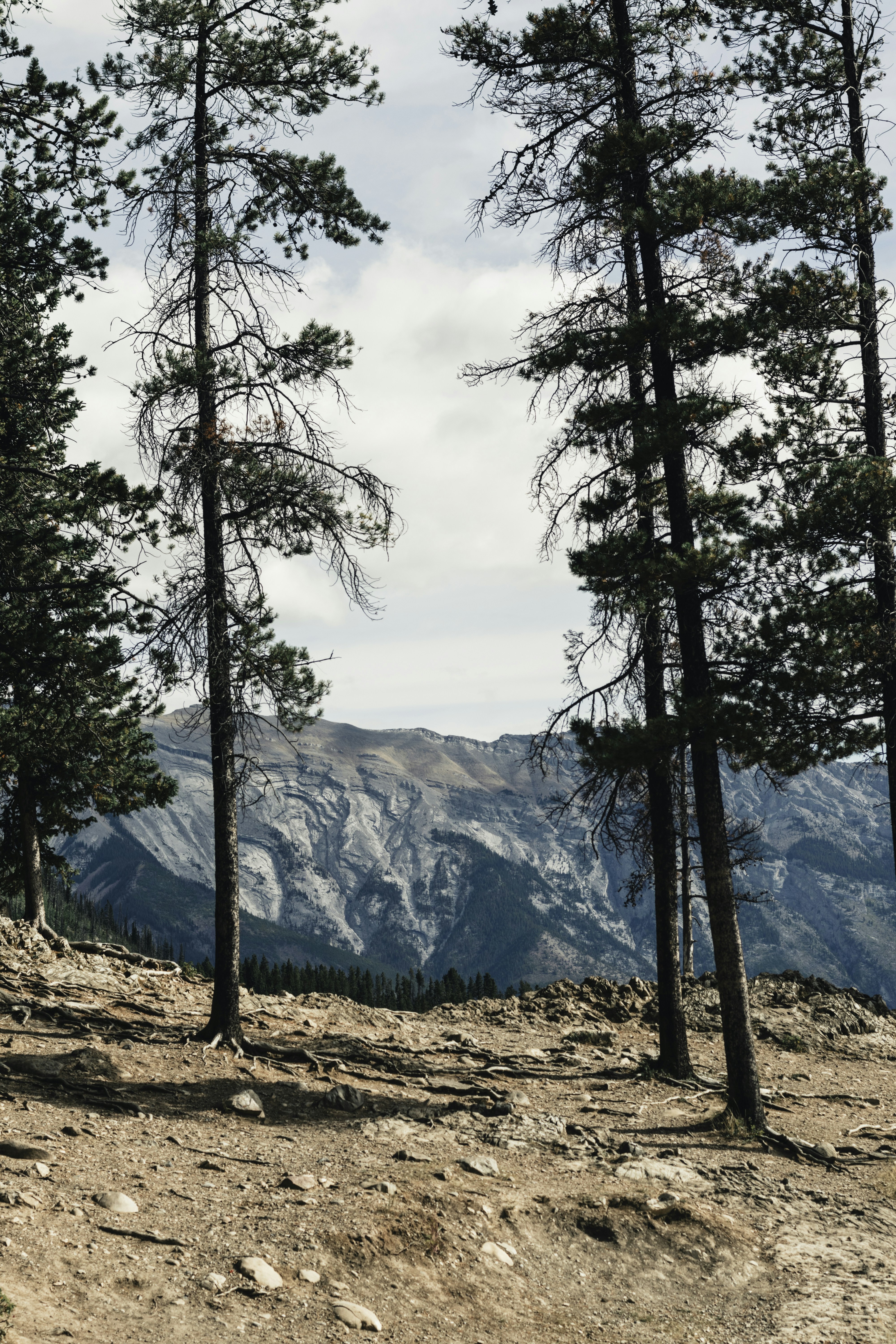 Photo by lureofadventure