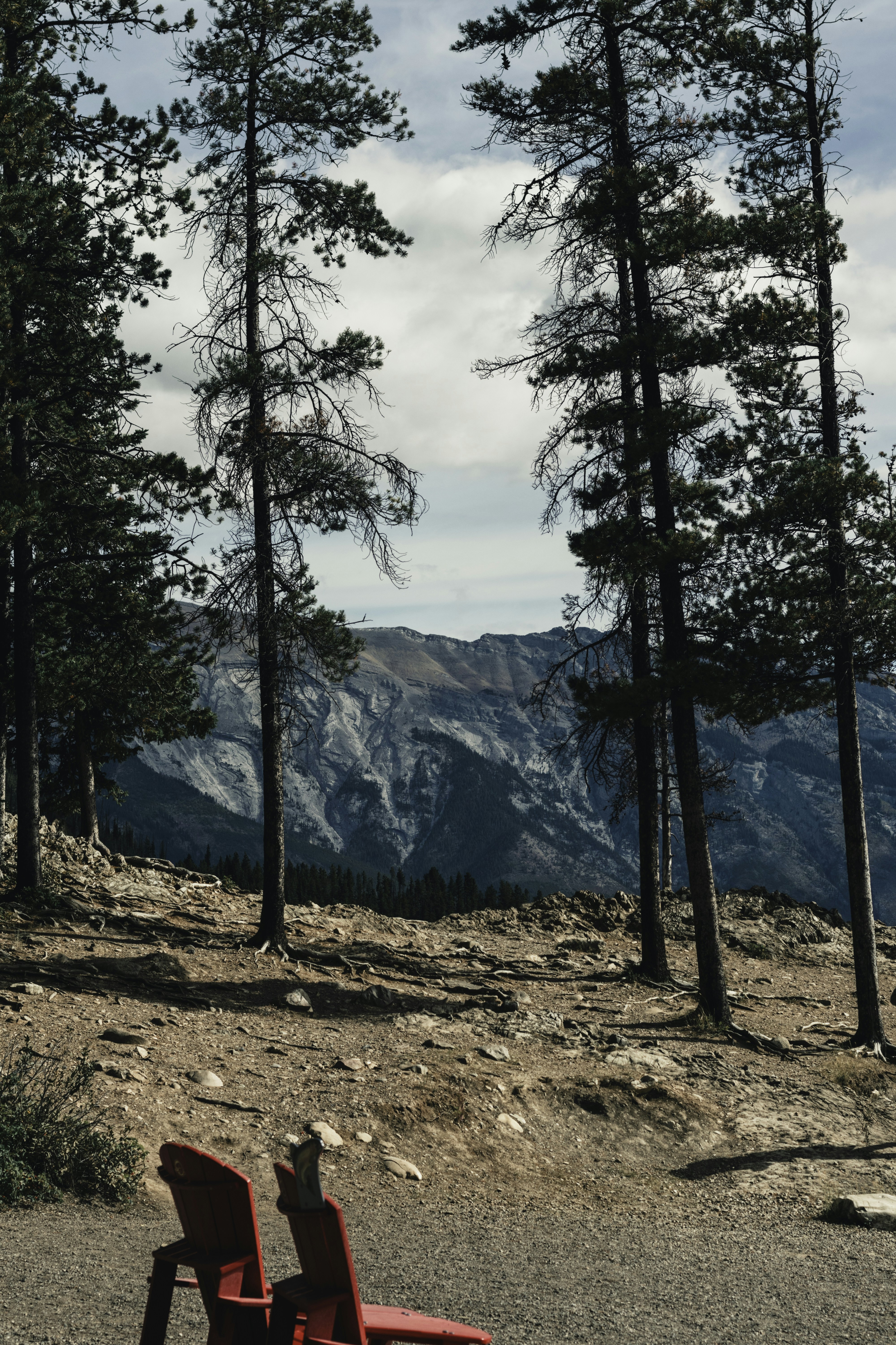 Photo by lureofadventure