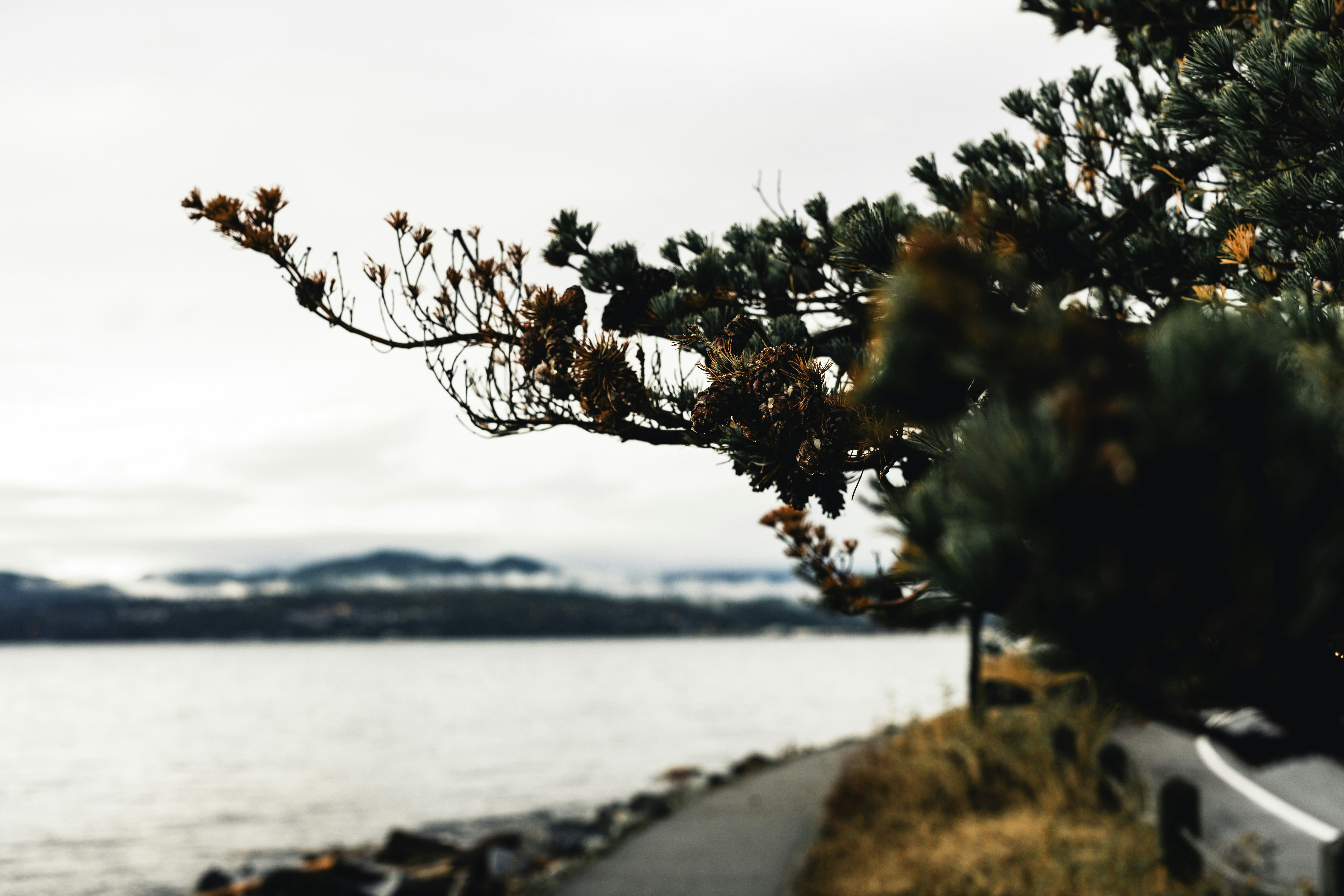 Photo by lureofadventure