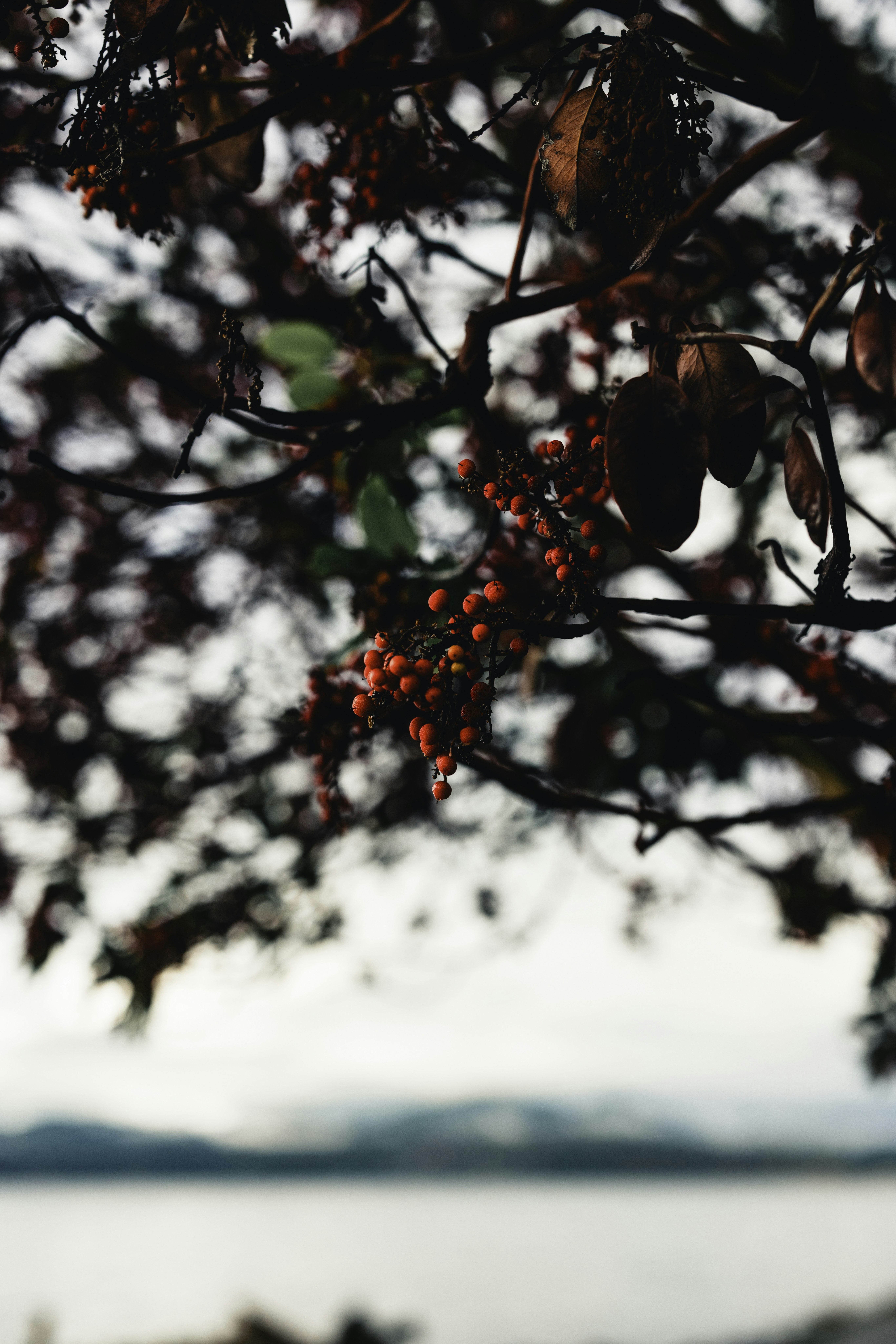 Photo by lureofadventure