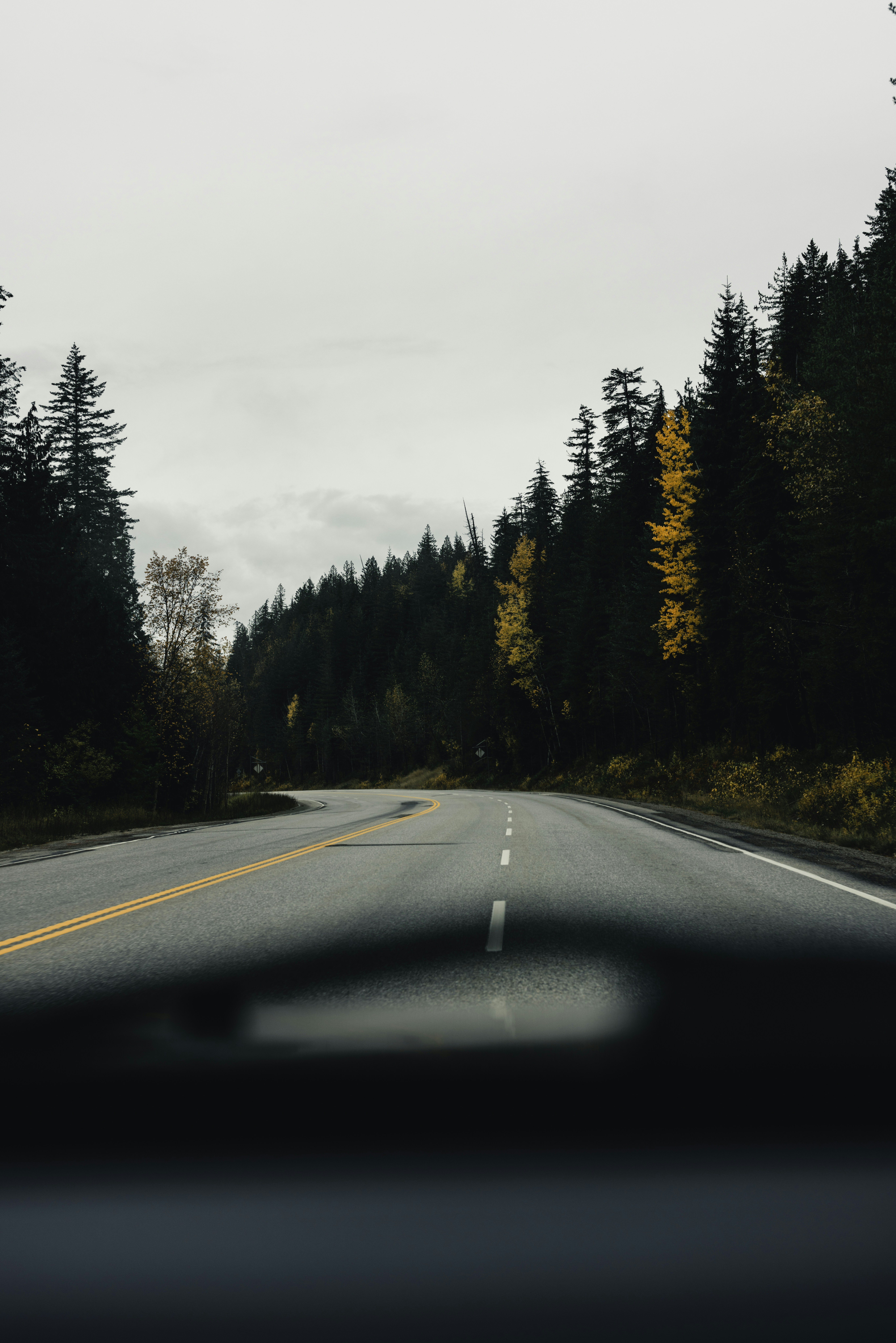 Photo by lureofadventure