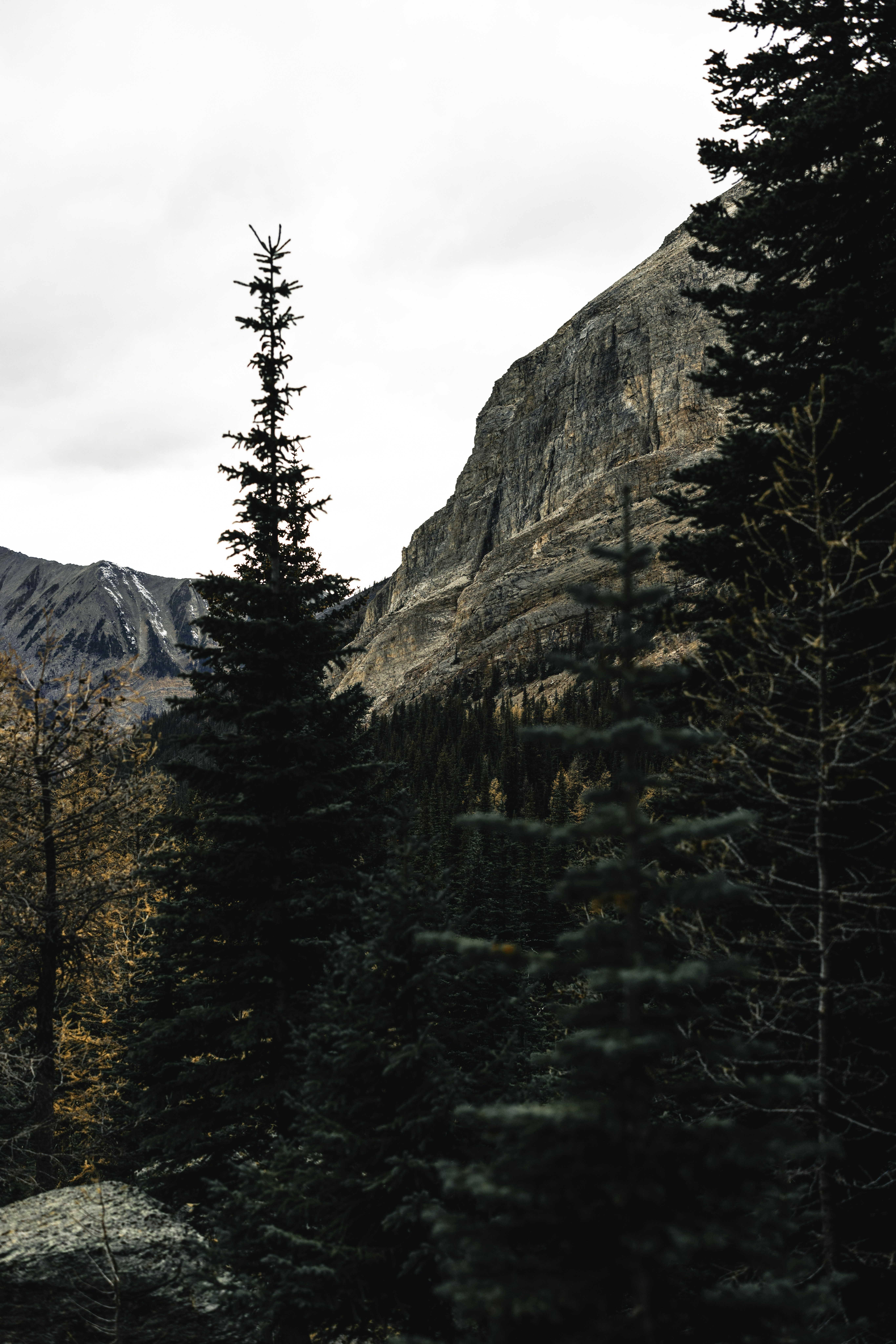 Photo by lureofadventure