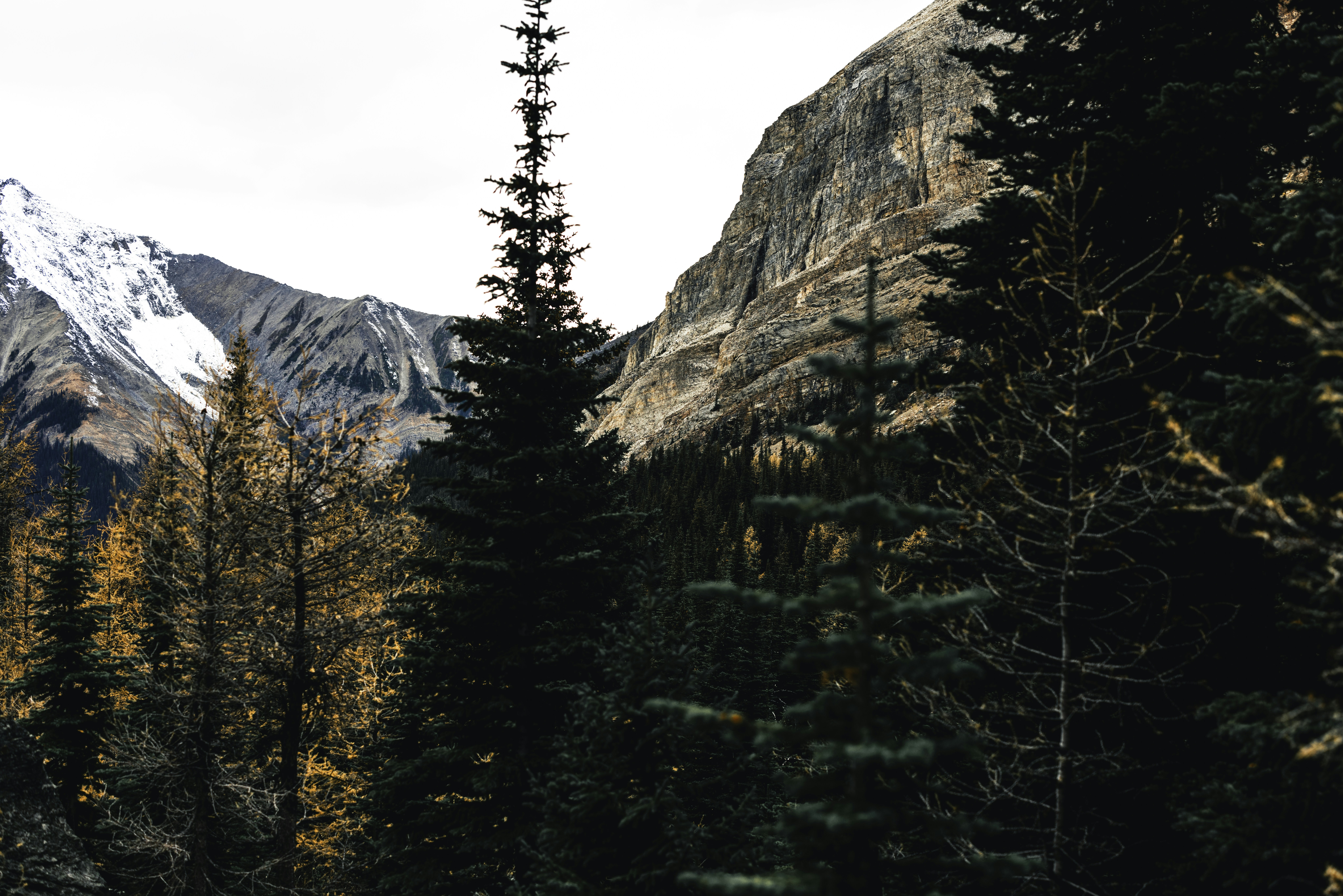 Photo by lureofadventure