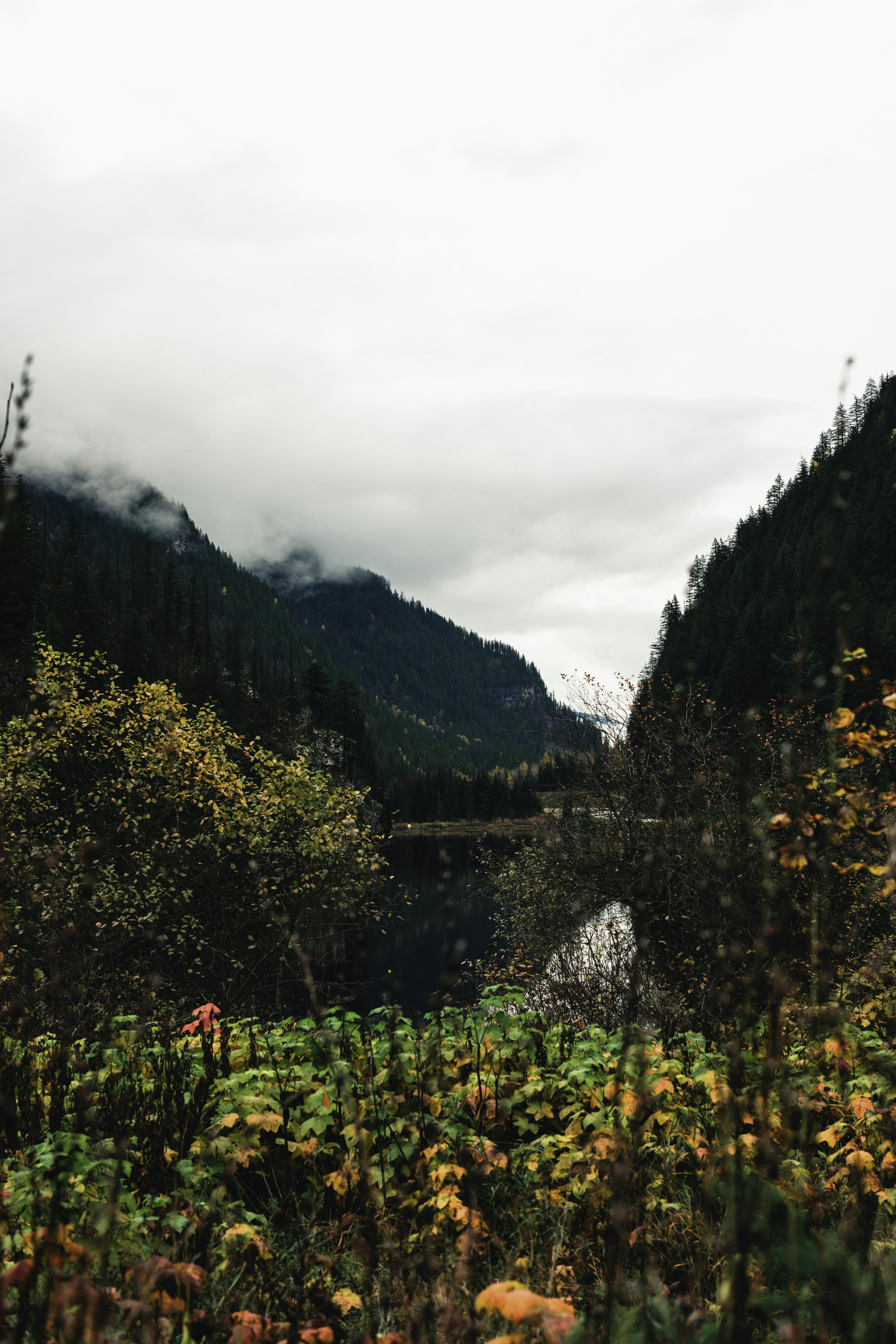 Photo by lureofadventure