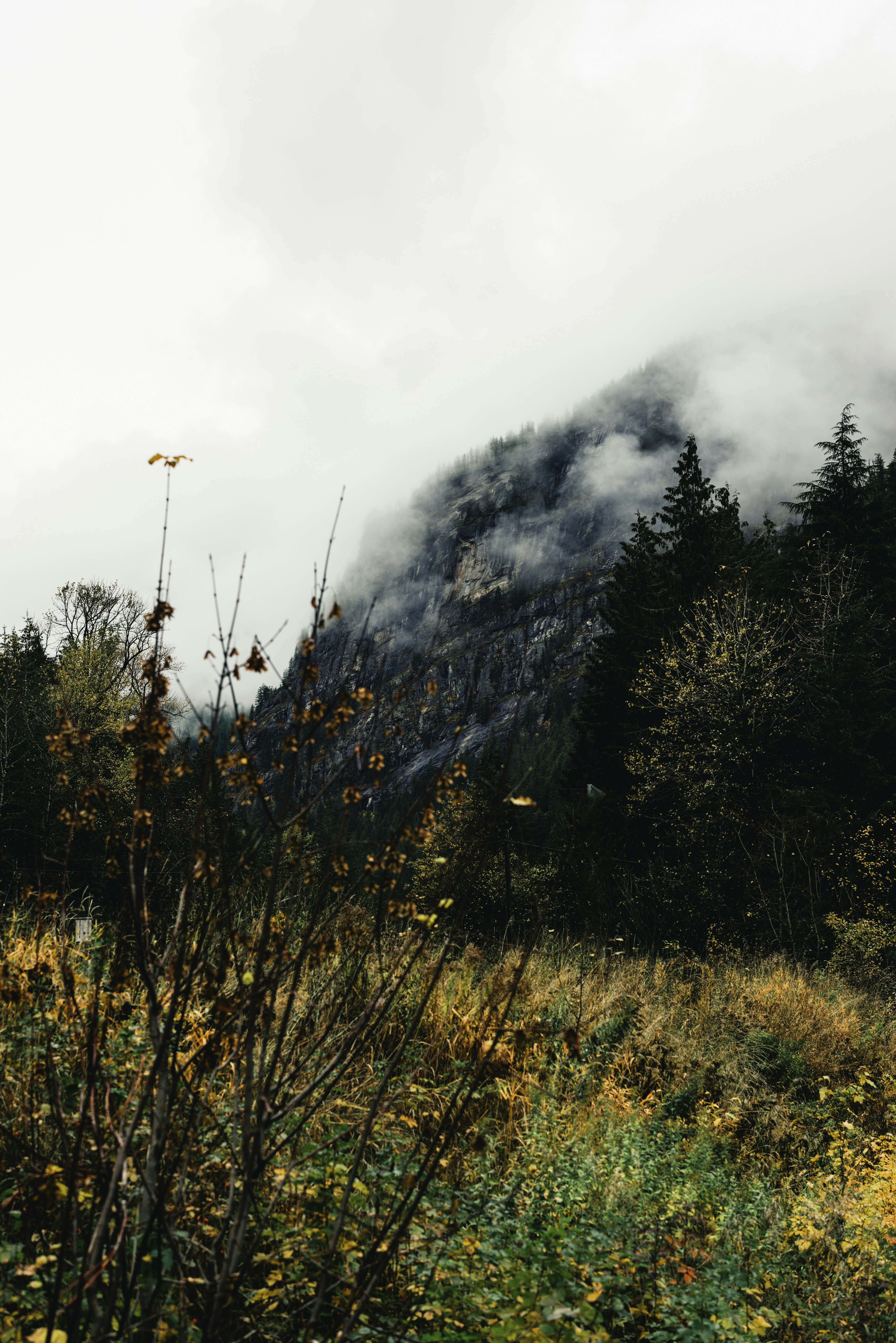 Photo by lureofadventure