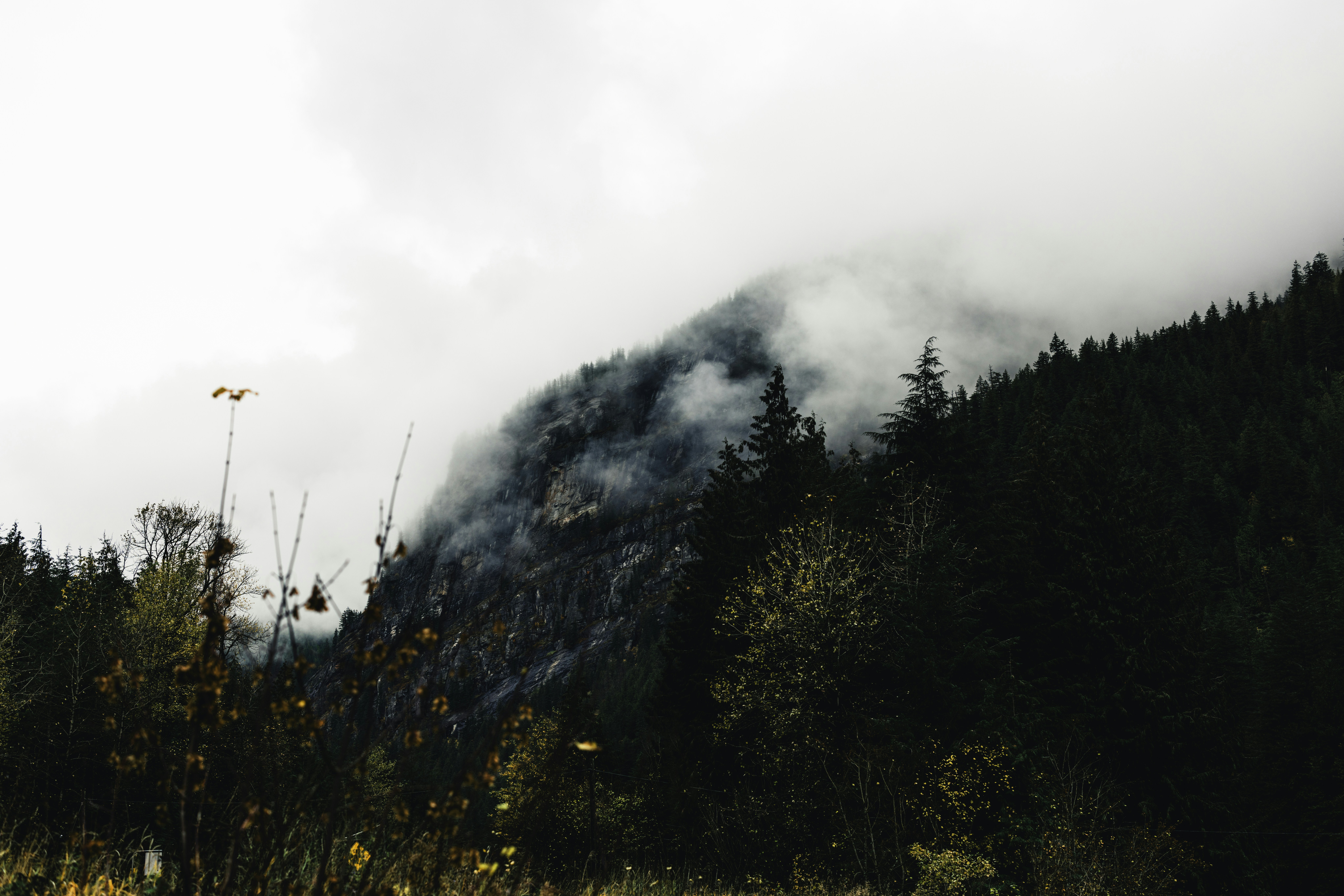 Photo by lureofadventure