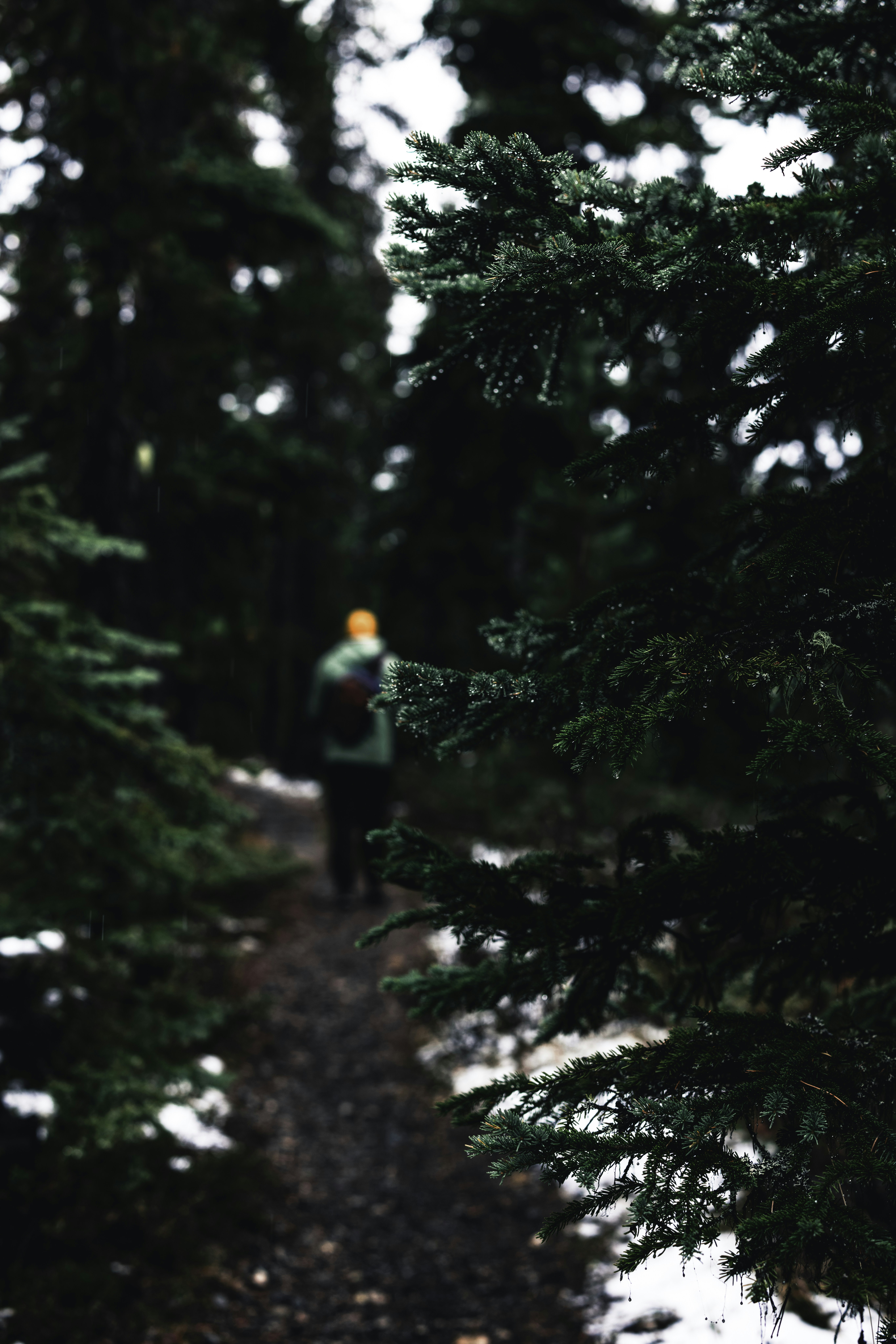 Photo by lureofadventure