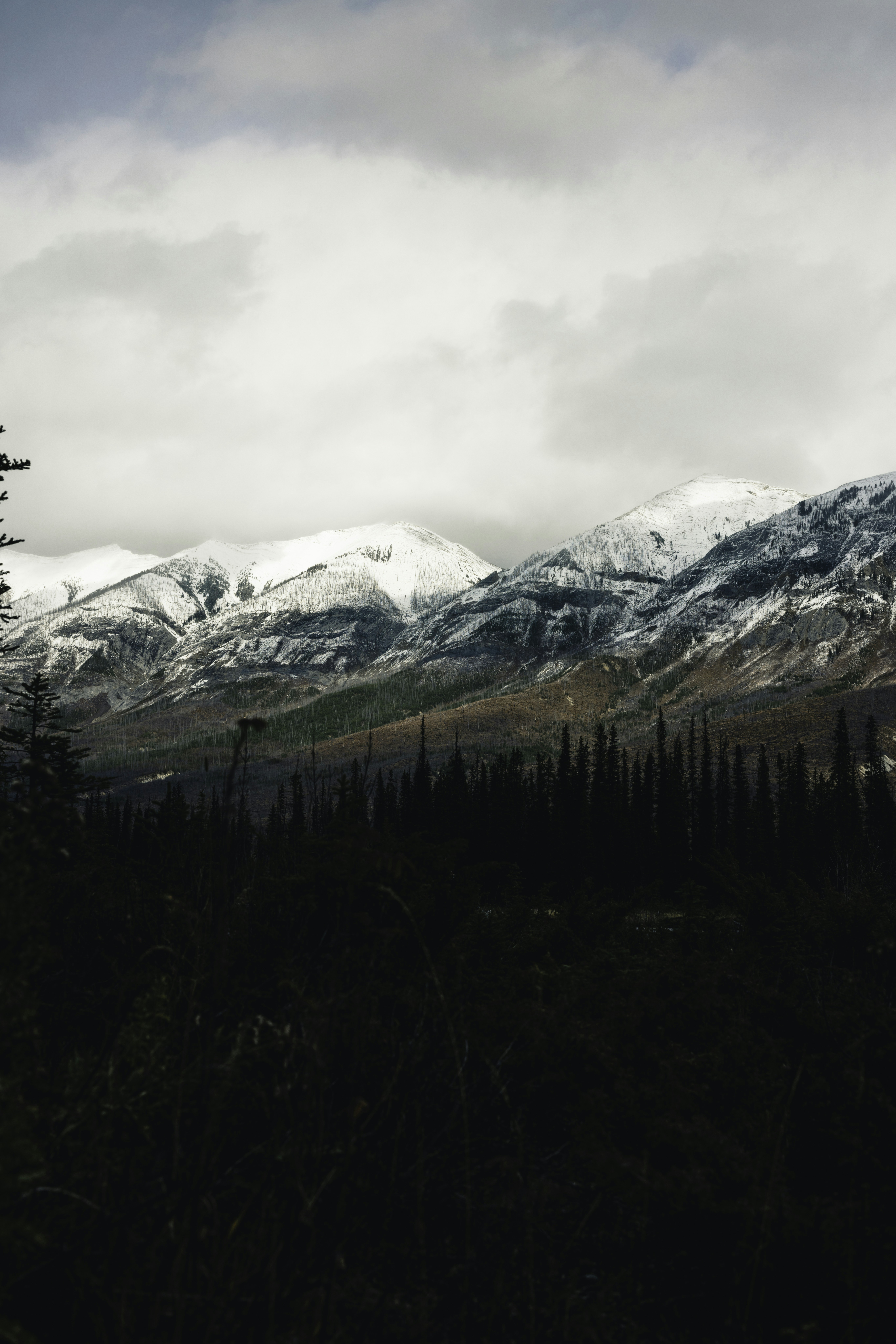 Photo by lureofadventure