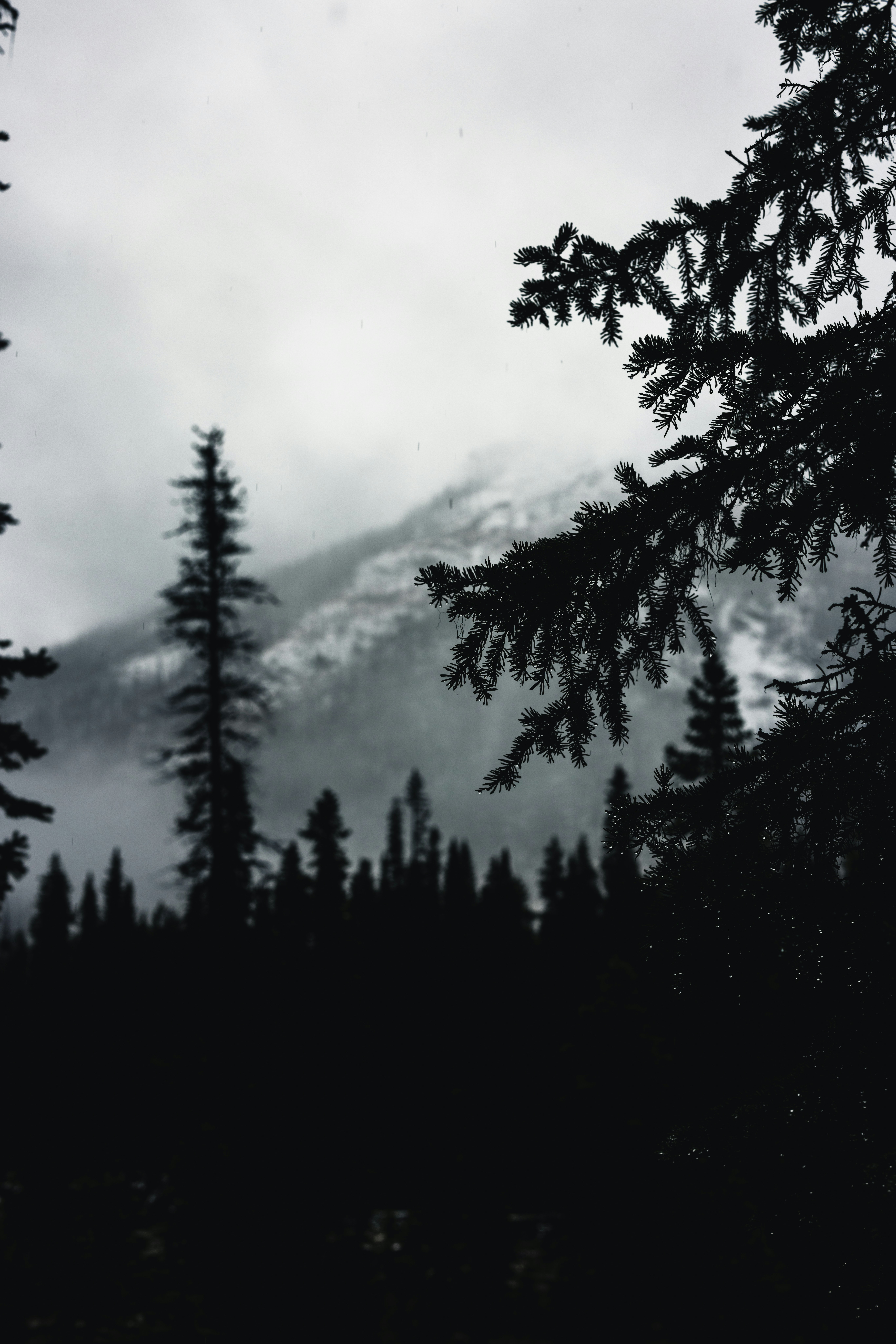 Photo by lureofadventure