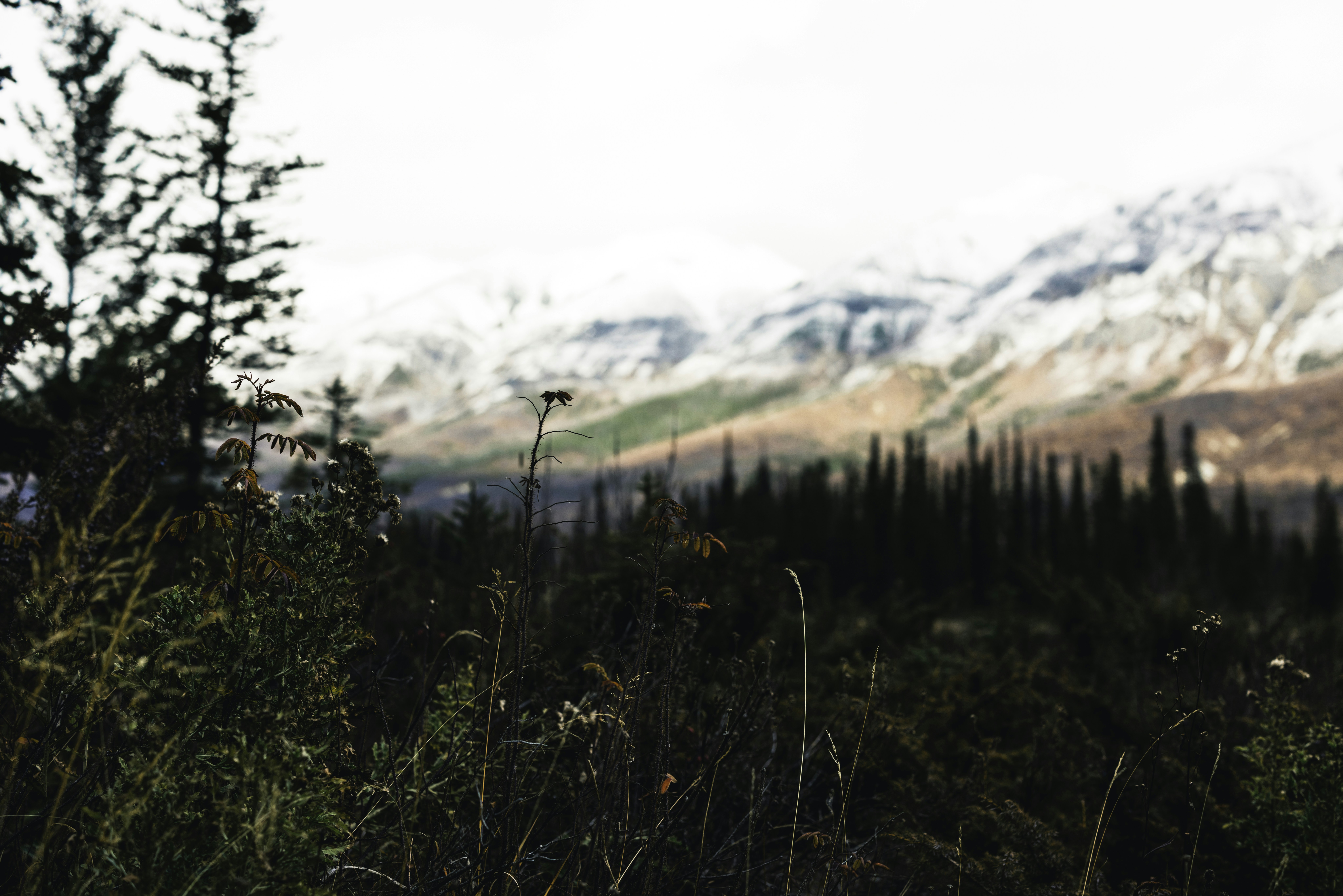 Photo by lureofadventure