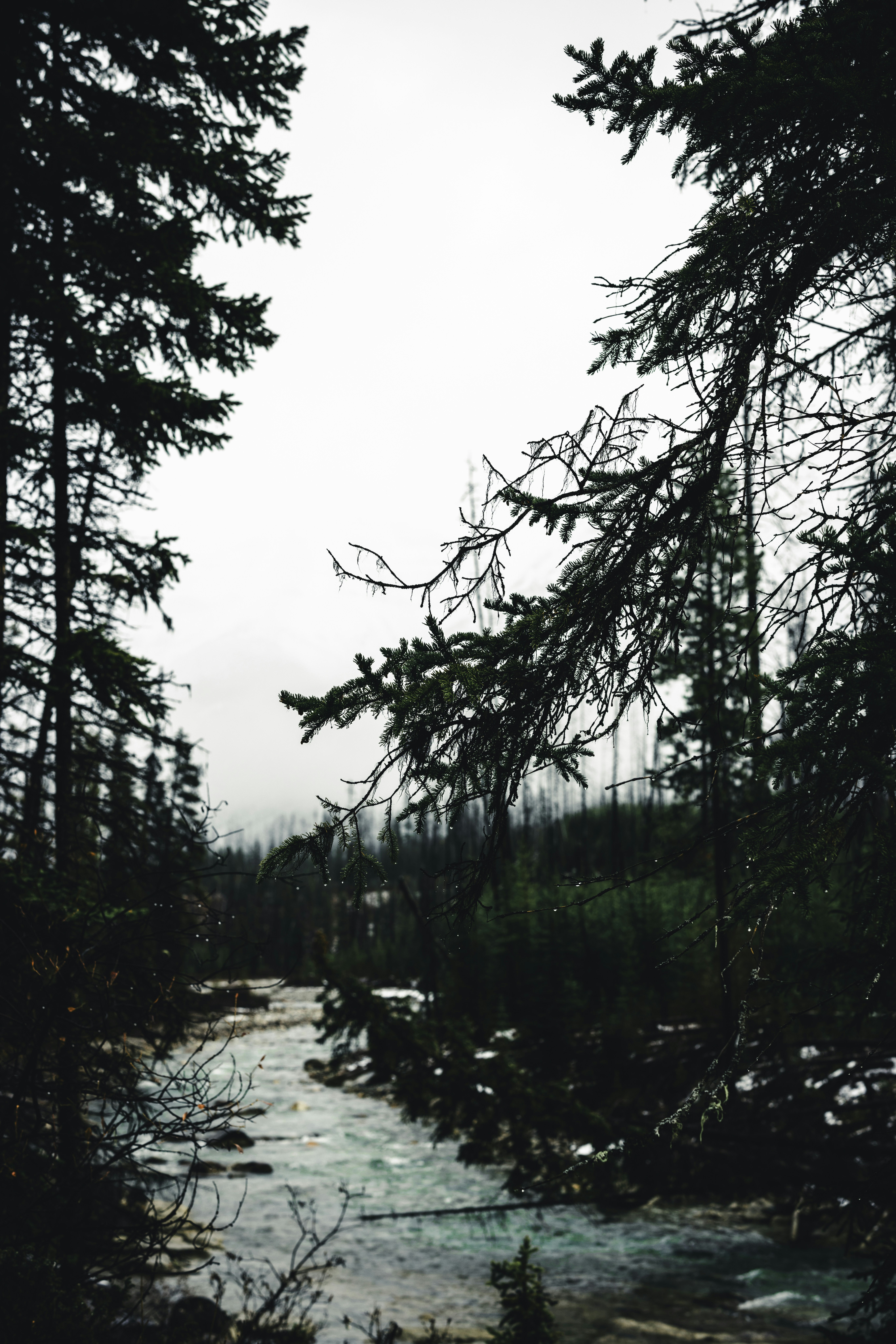 Photo by lureofadventure