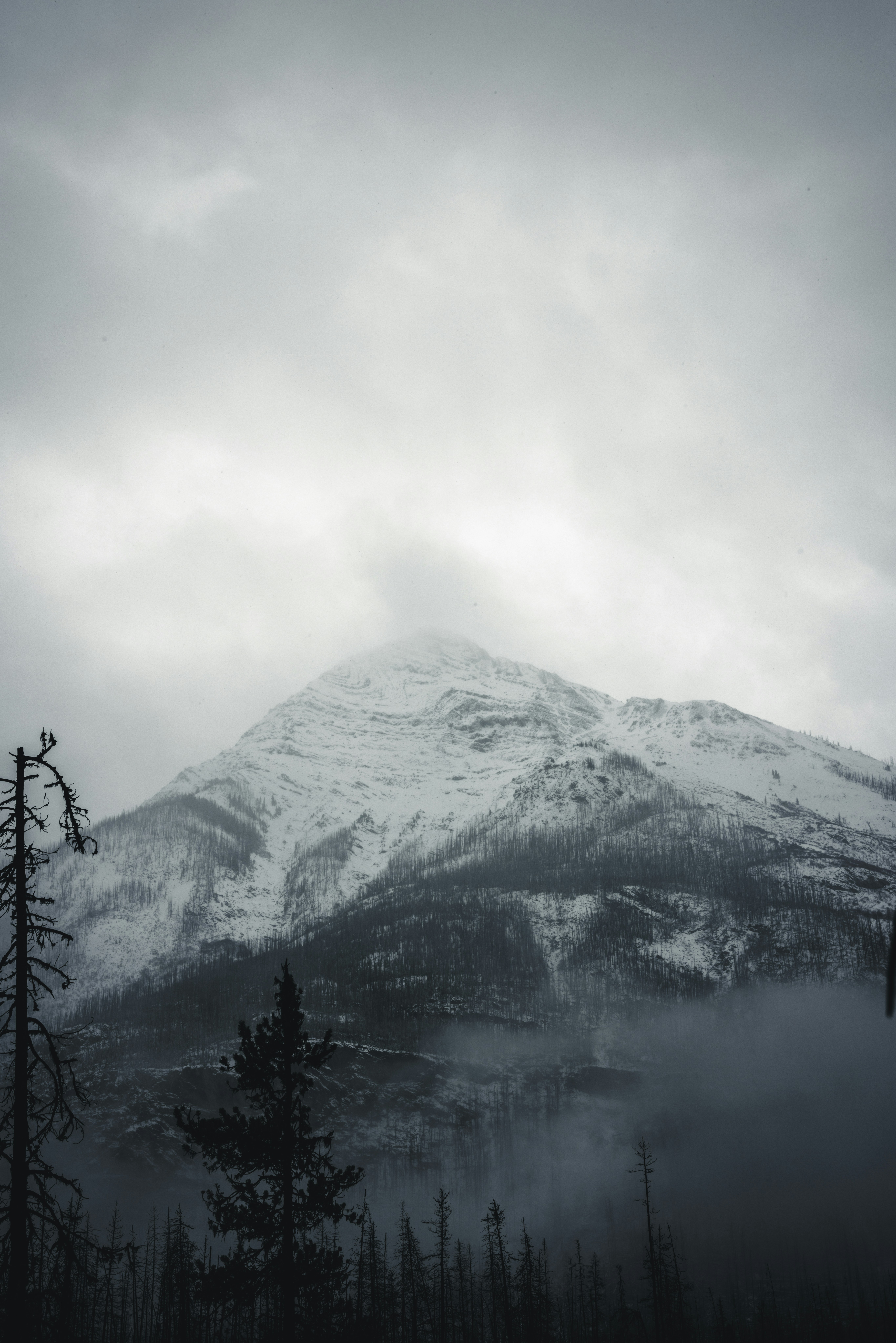 Photo by lureofadventure