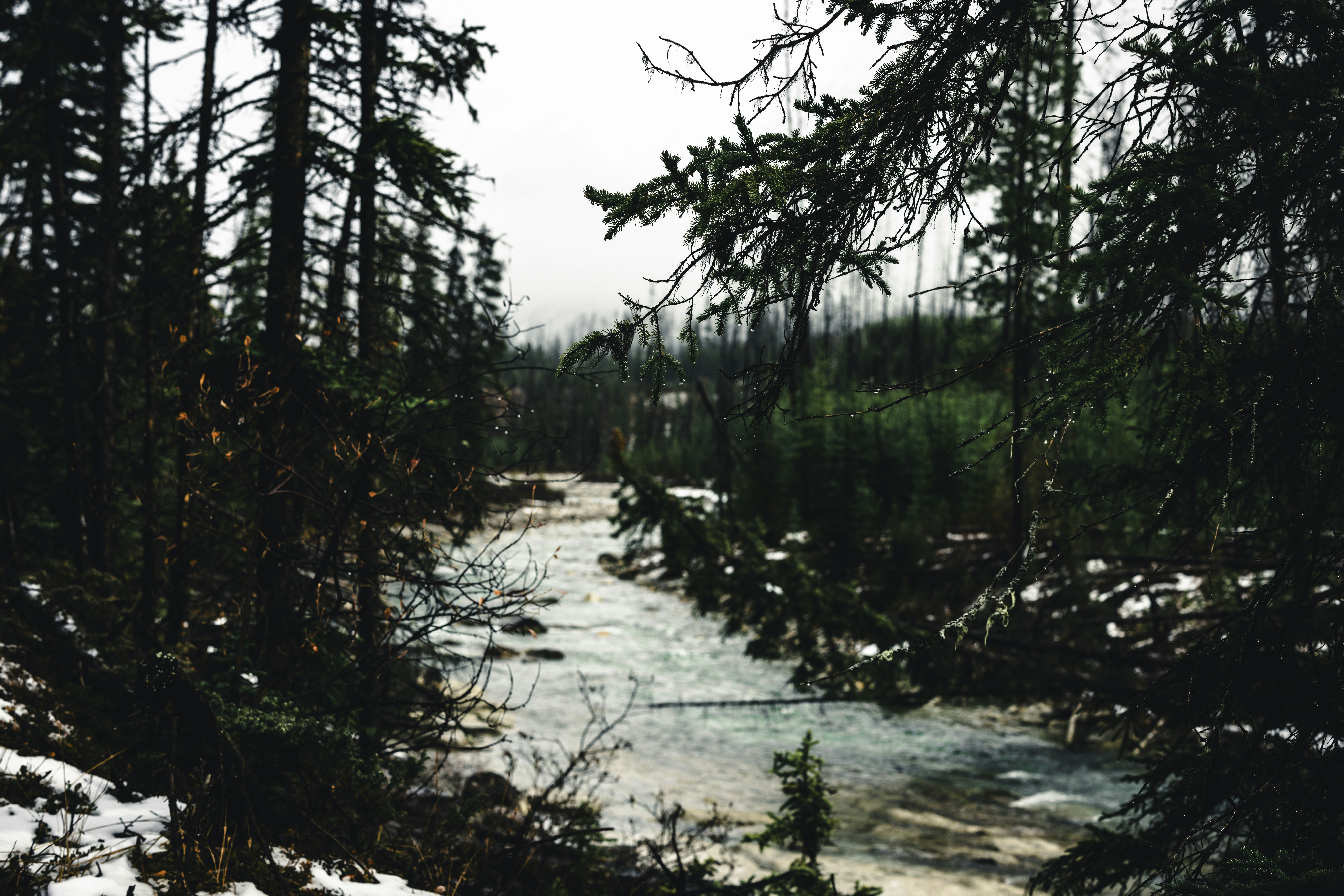 Photo by lureofadventure