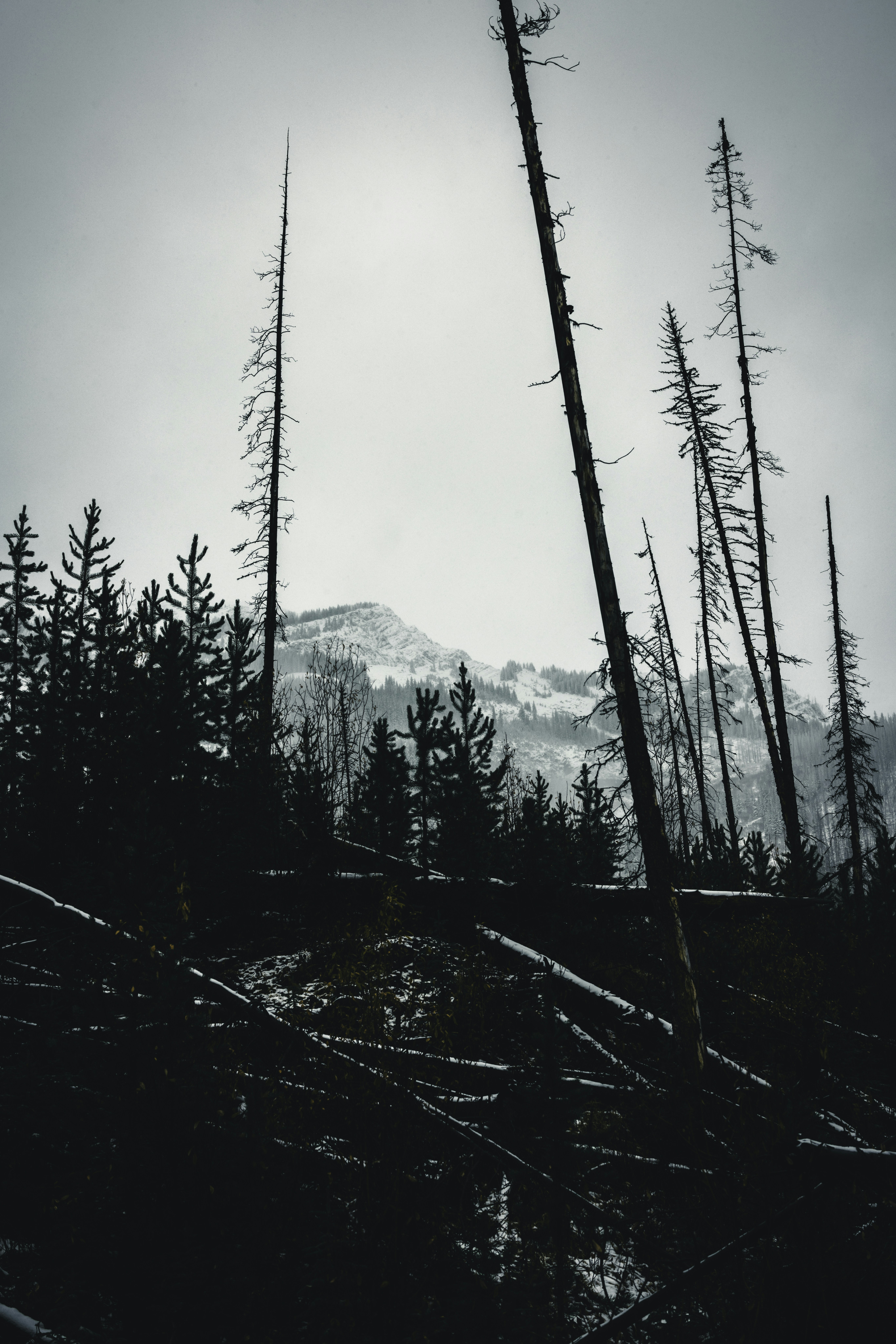 Photo by lureofadventure