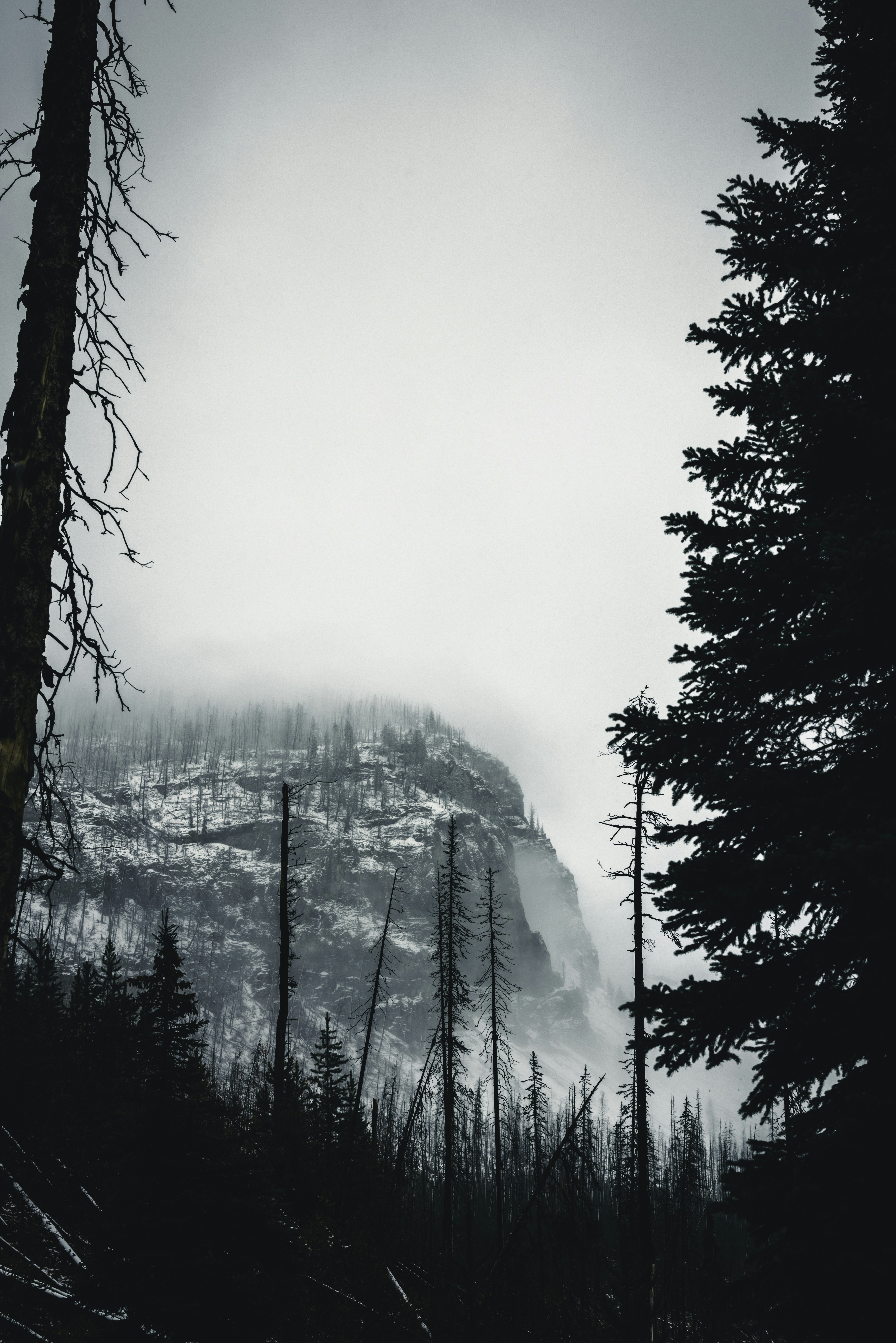 Photo by lureofadventure