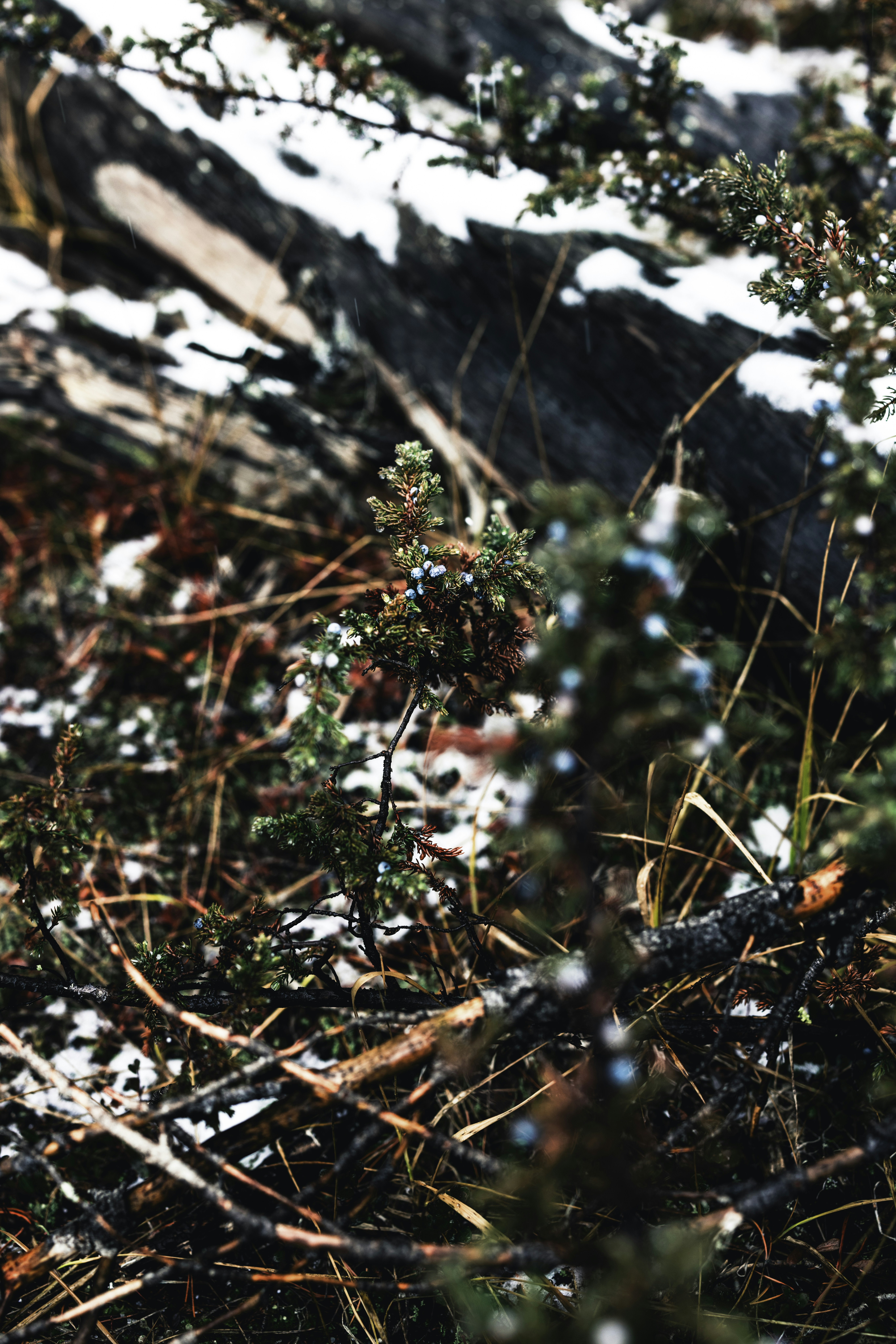 Photo by lureofadventure