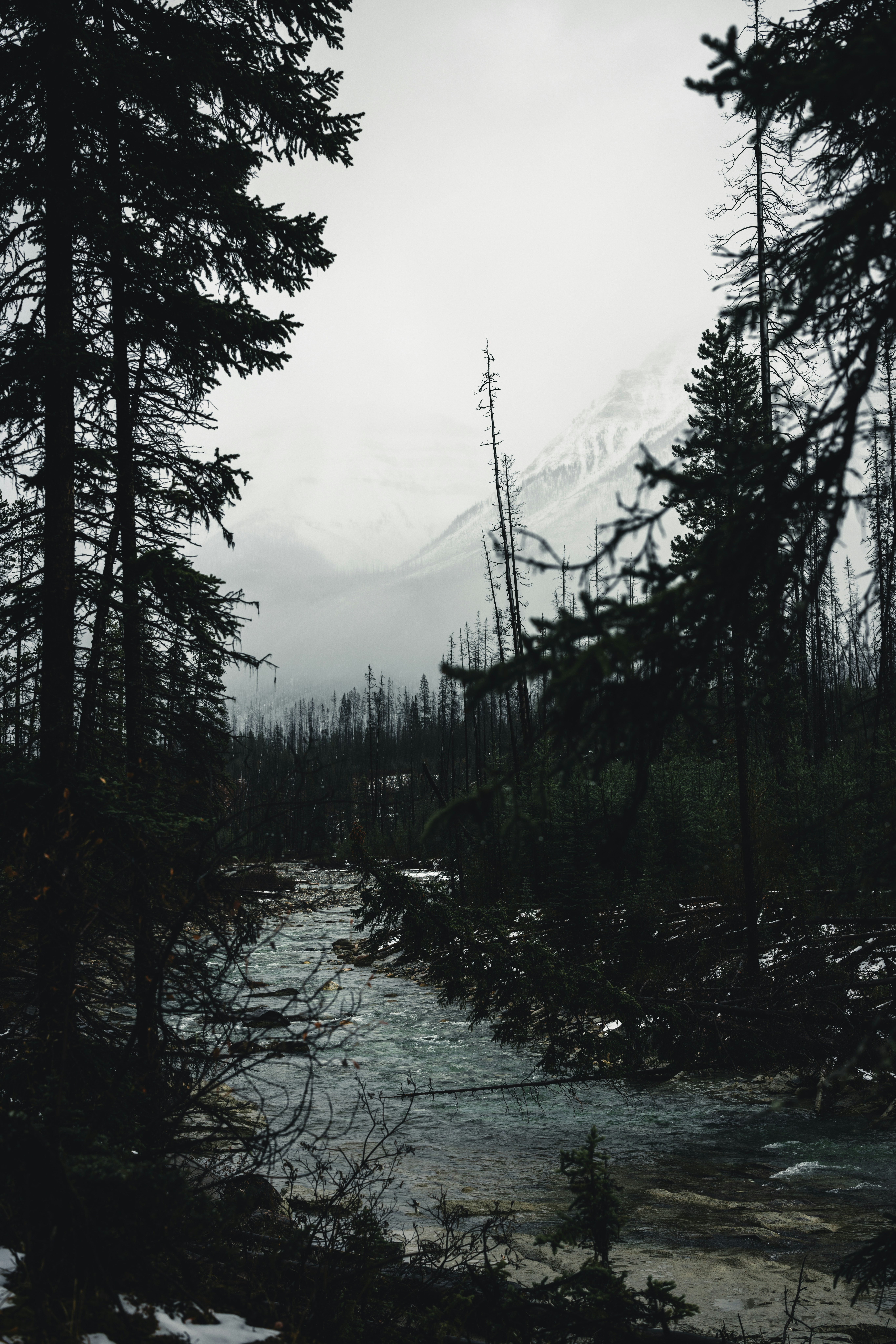 Photo by lureofadventure