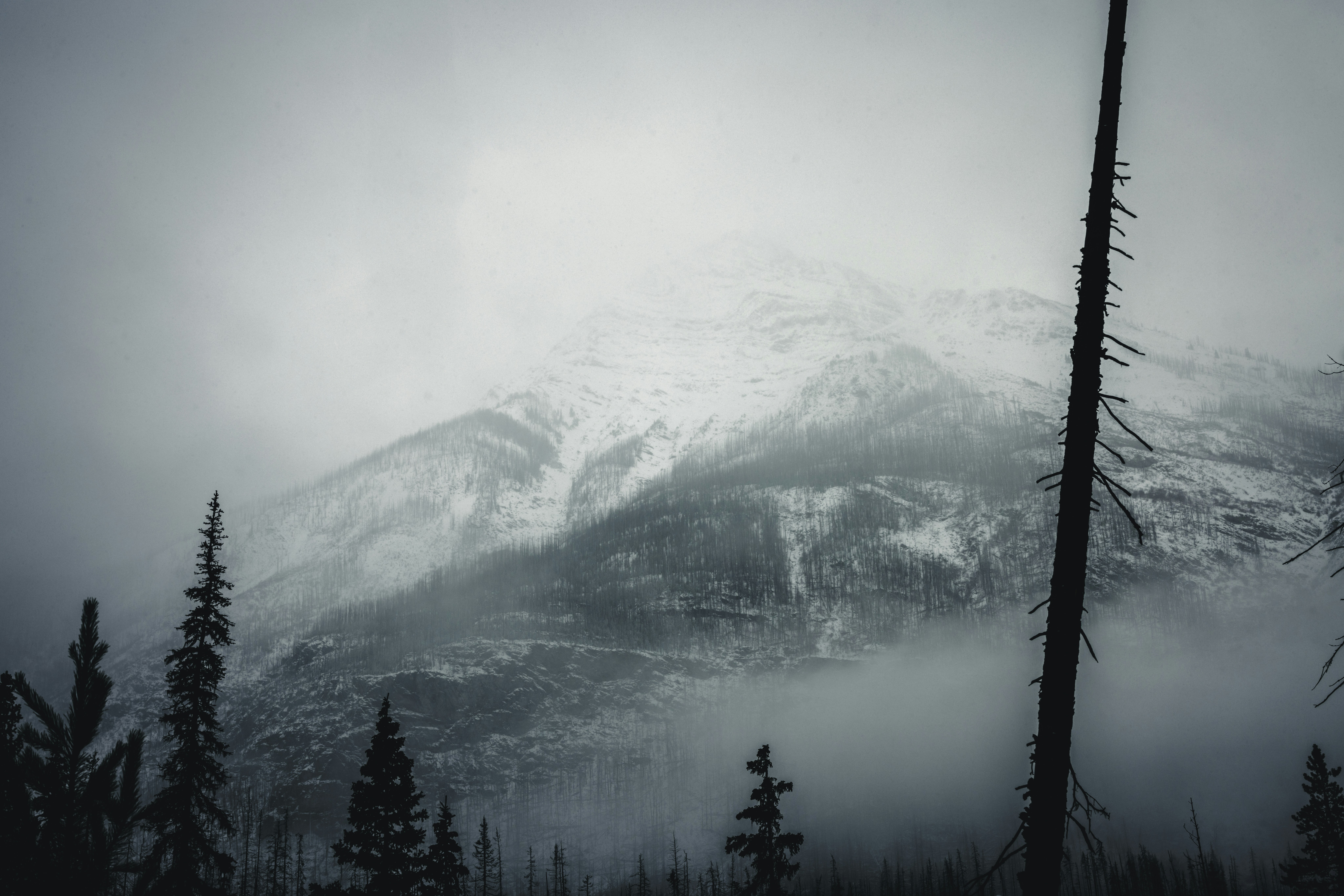 Photo by lureofadventure