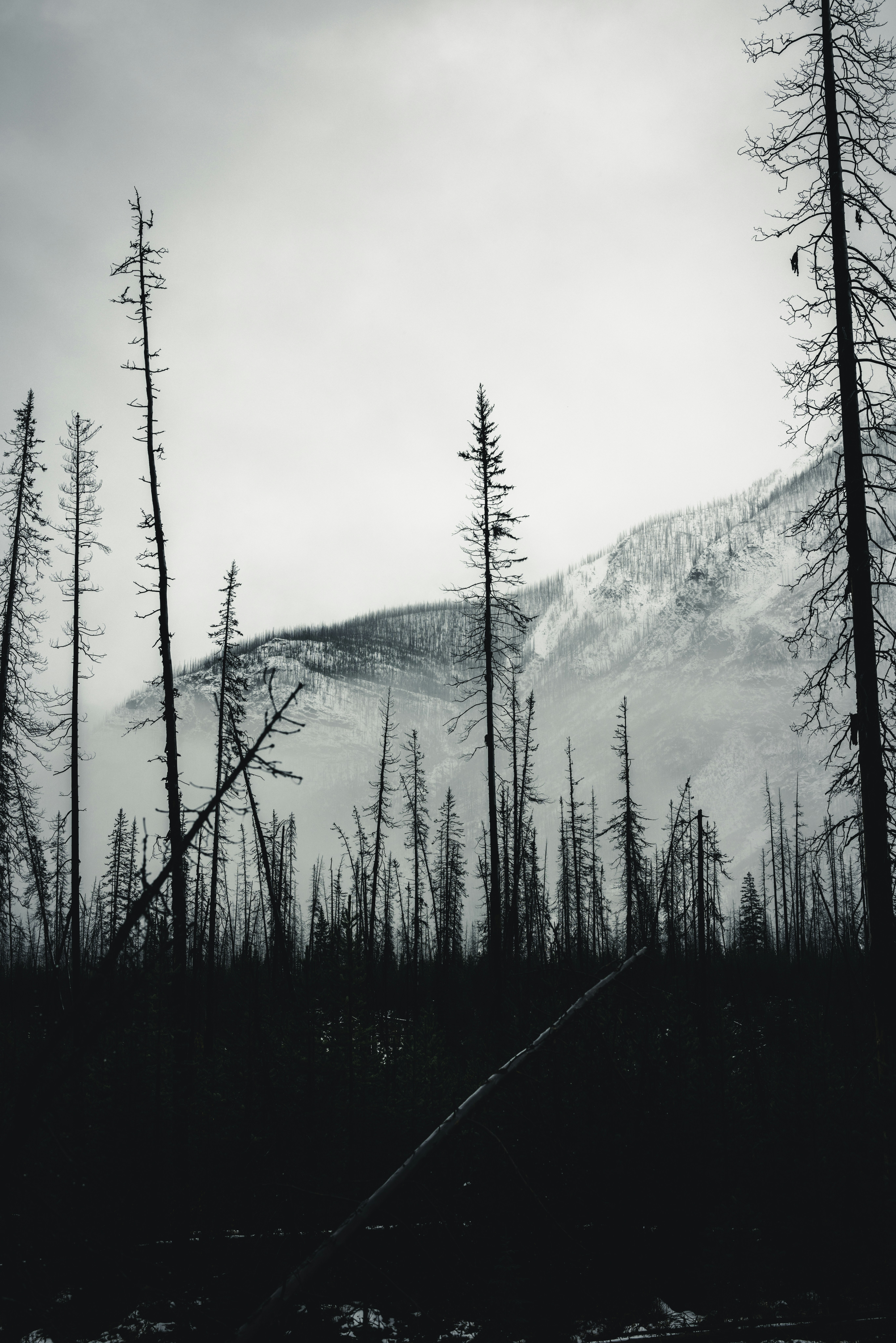 Photo by lureofadventure