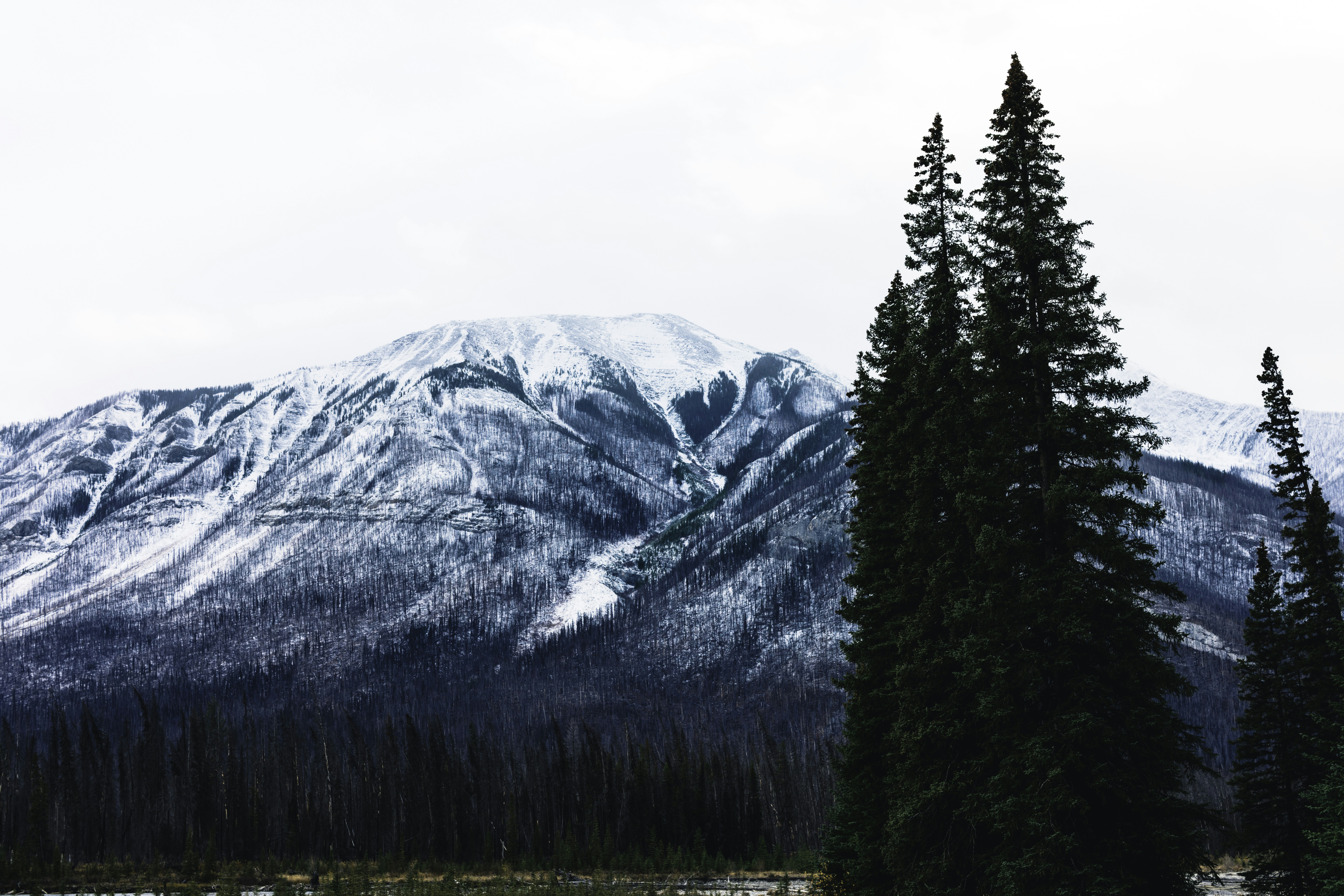 Photo by lureofadventure