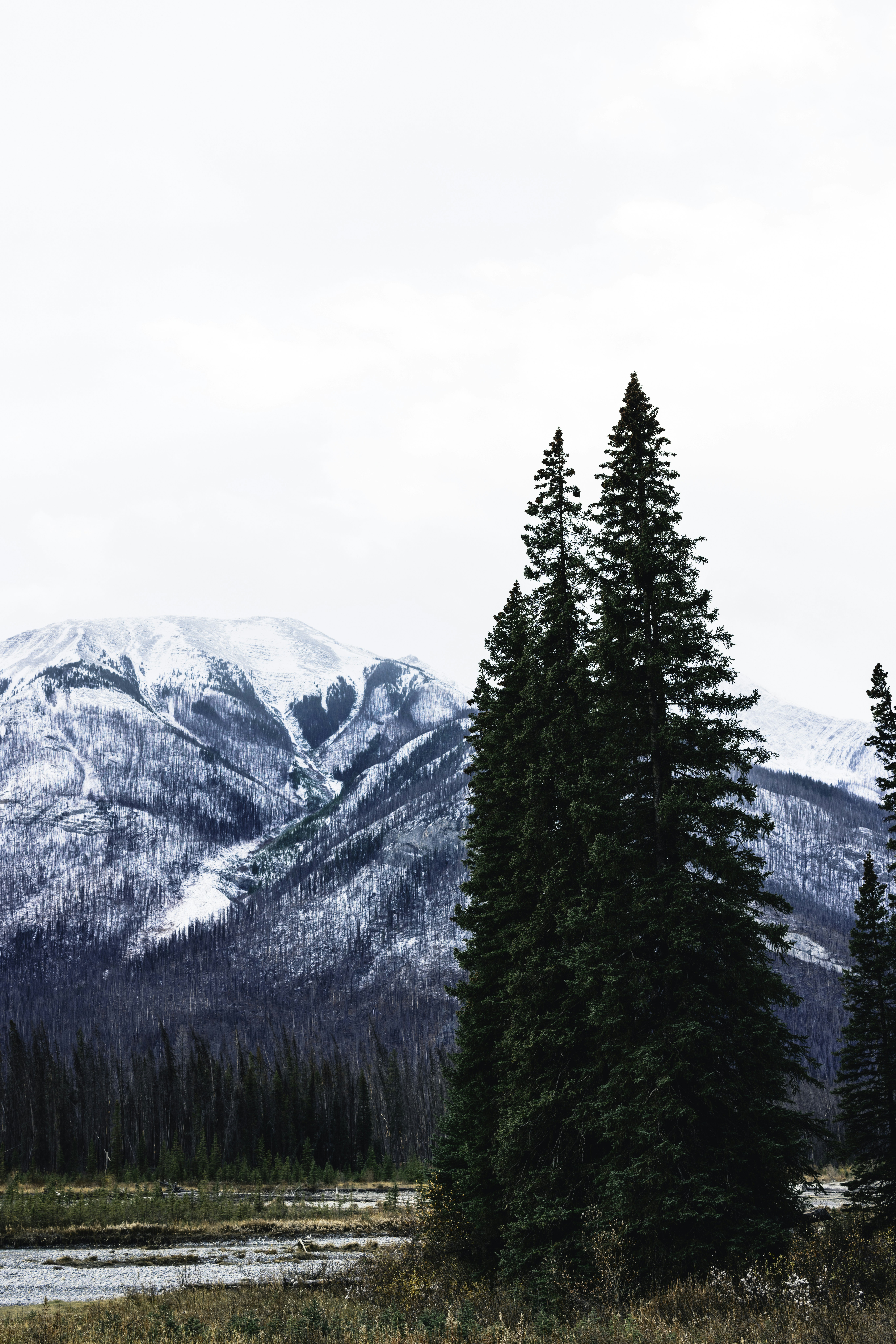 Photo by lureofadventure