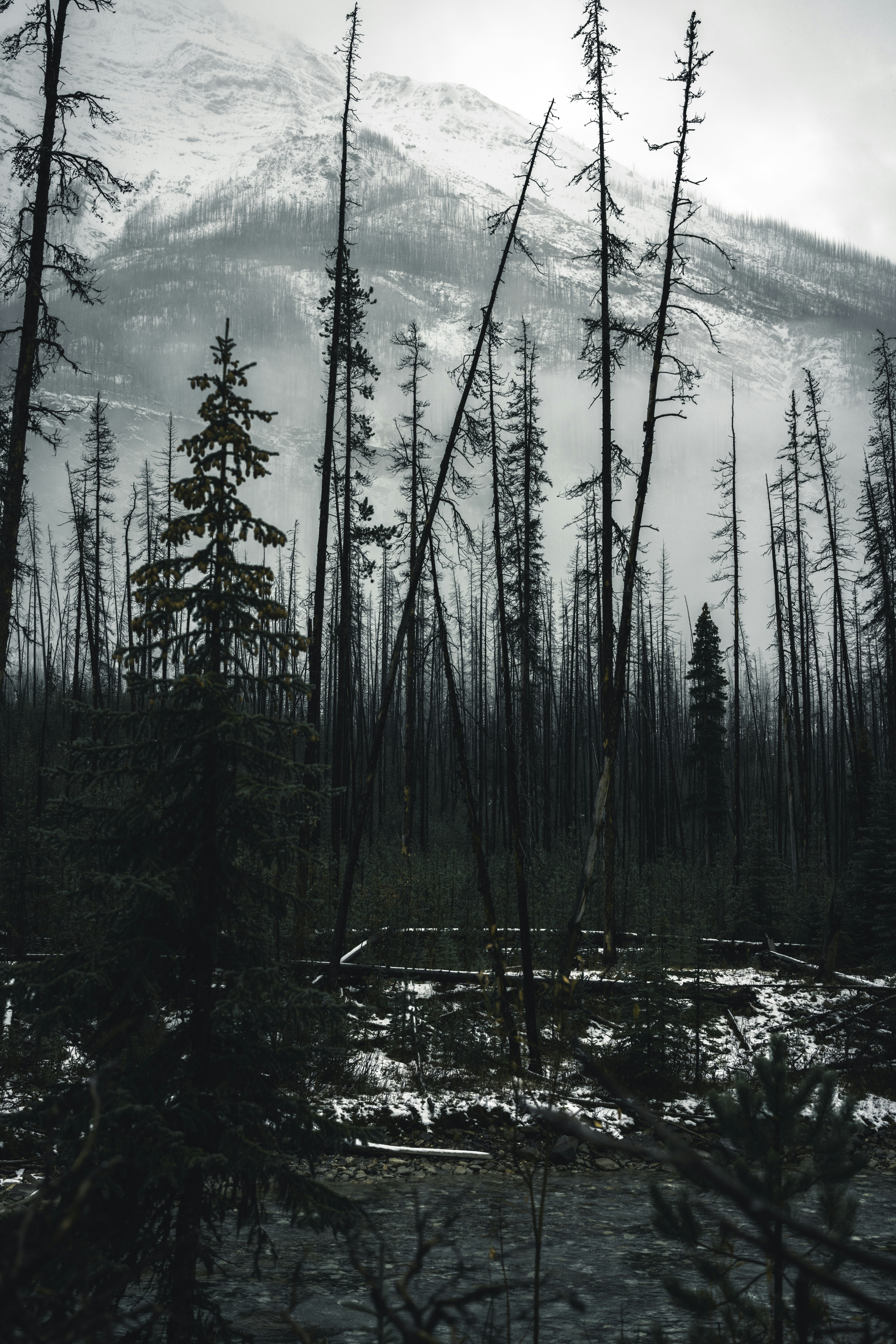 Photo by lureofadventure