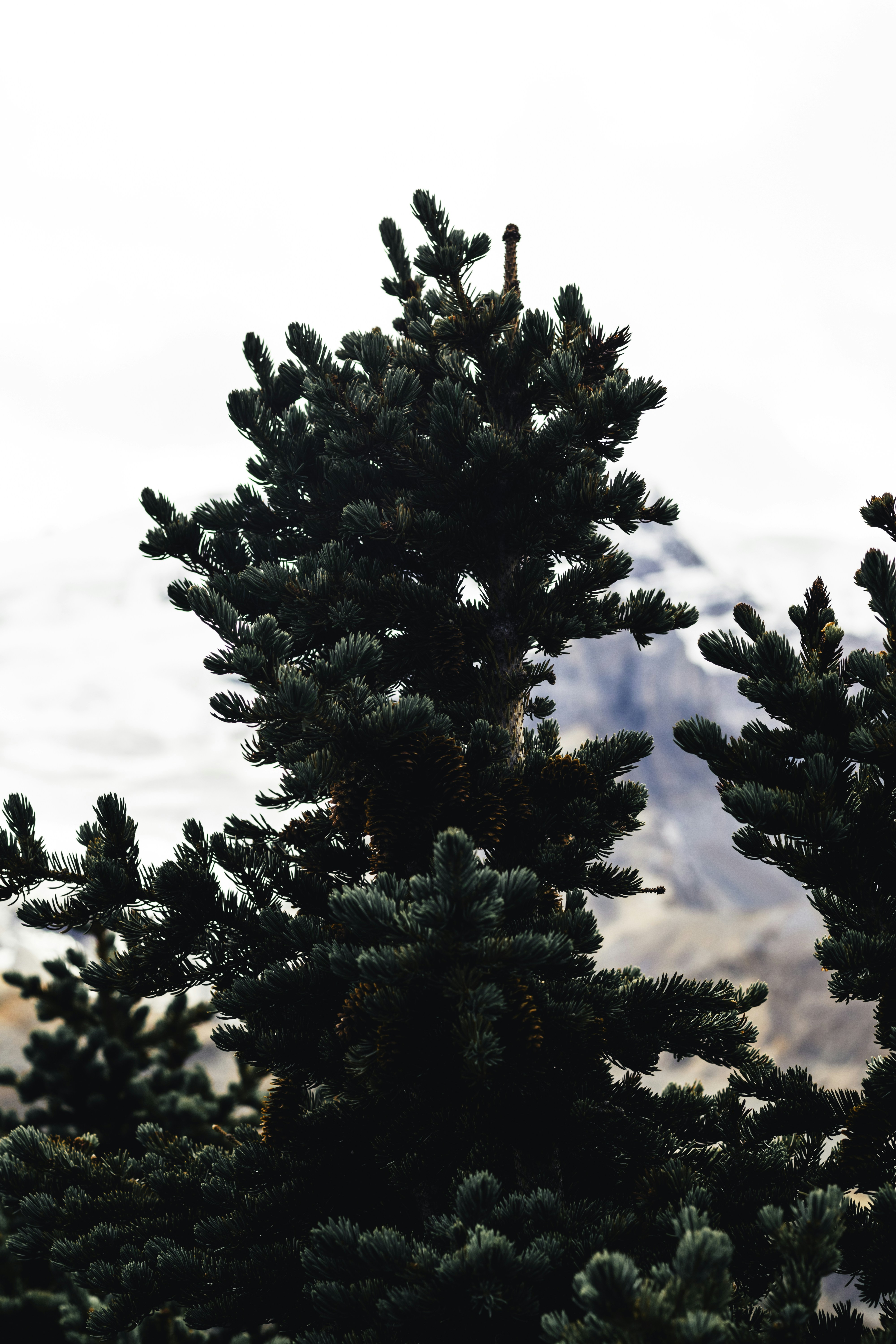 Photo by lureofadventure