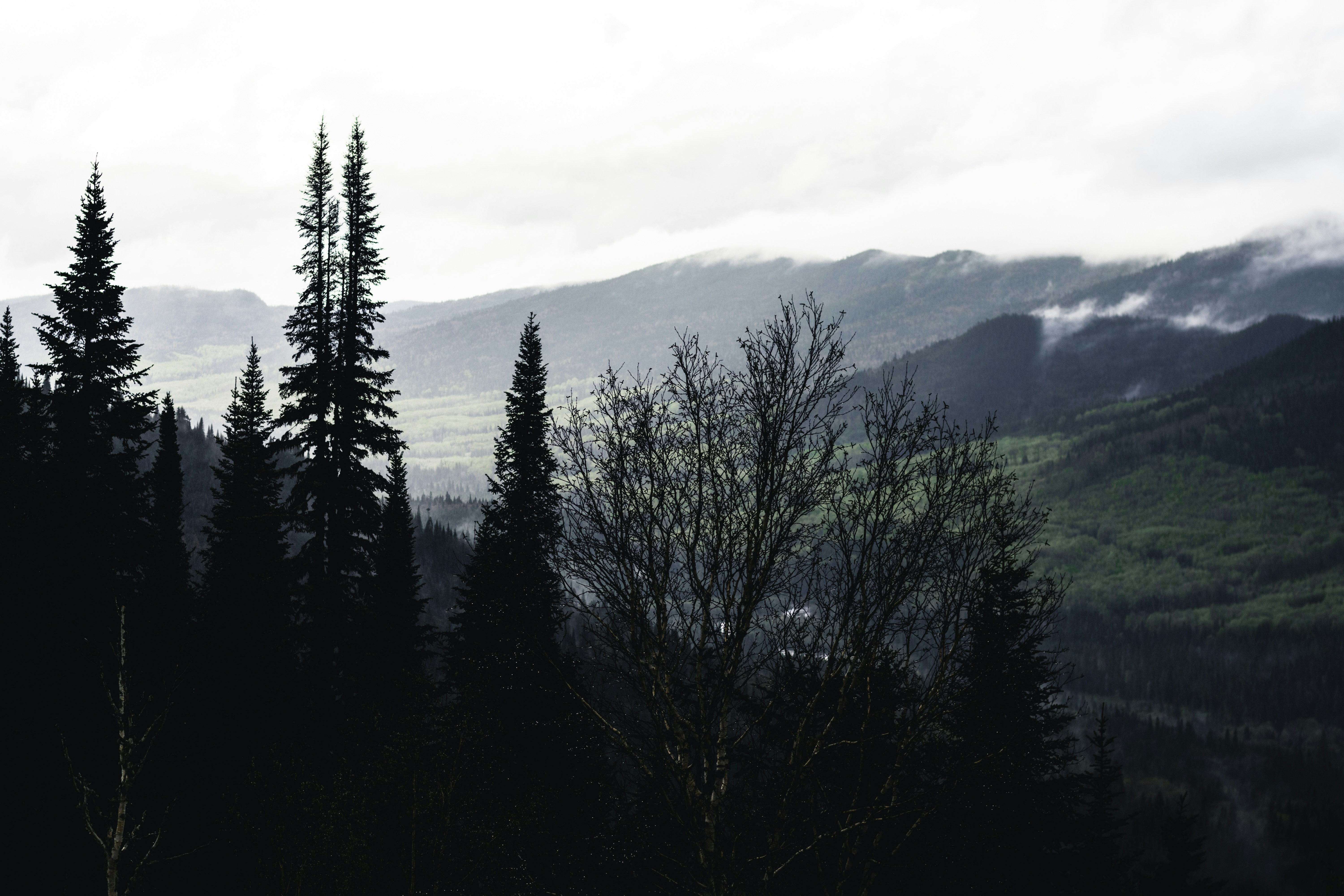 Photo by lureofadventure