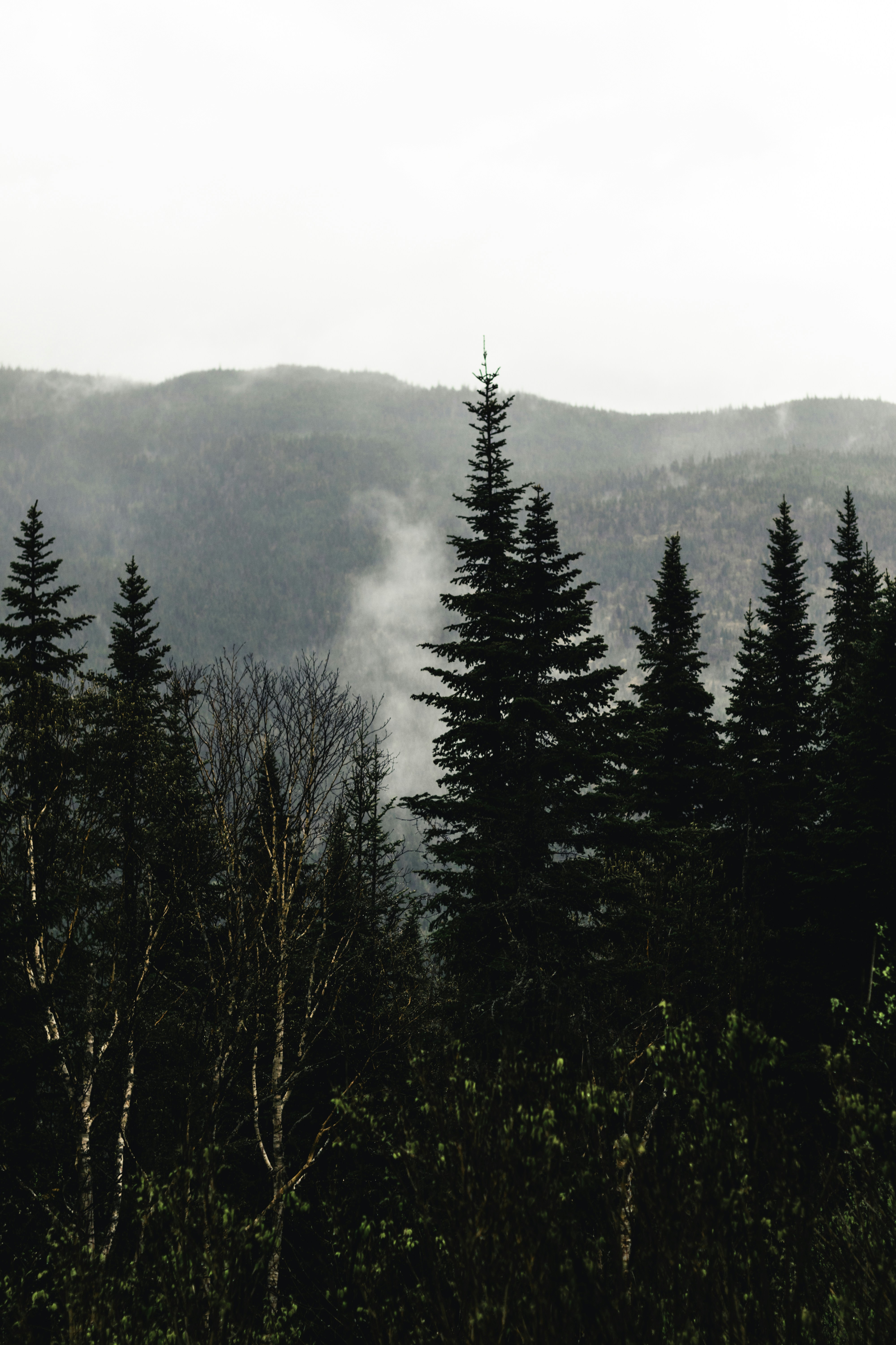 Photo by lureofadventure