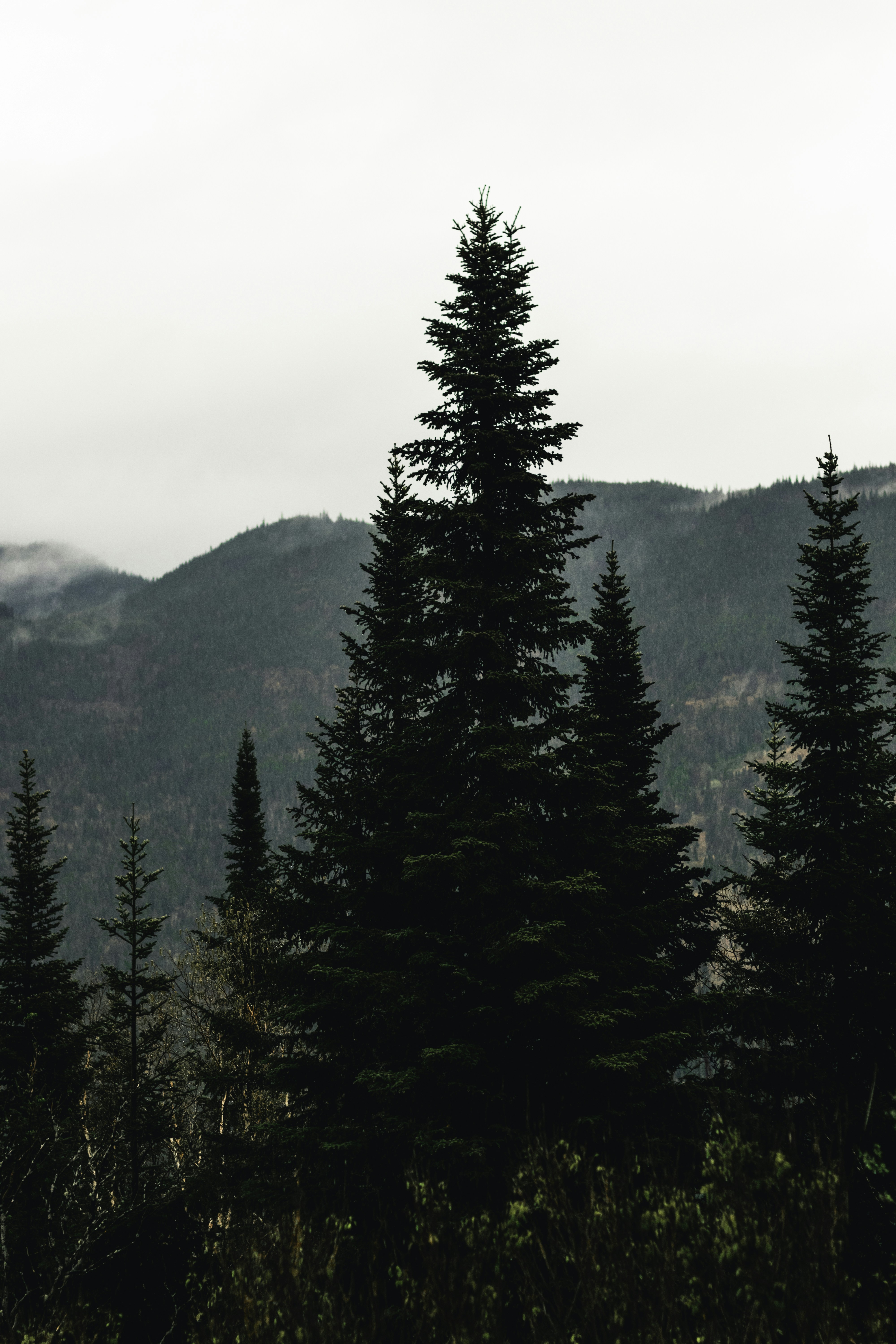 Photo by lureofadventure