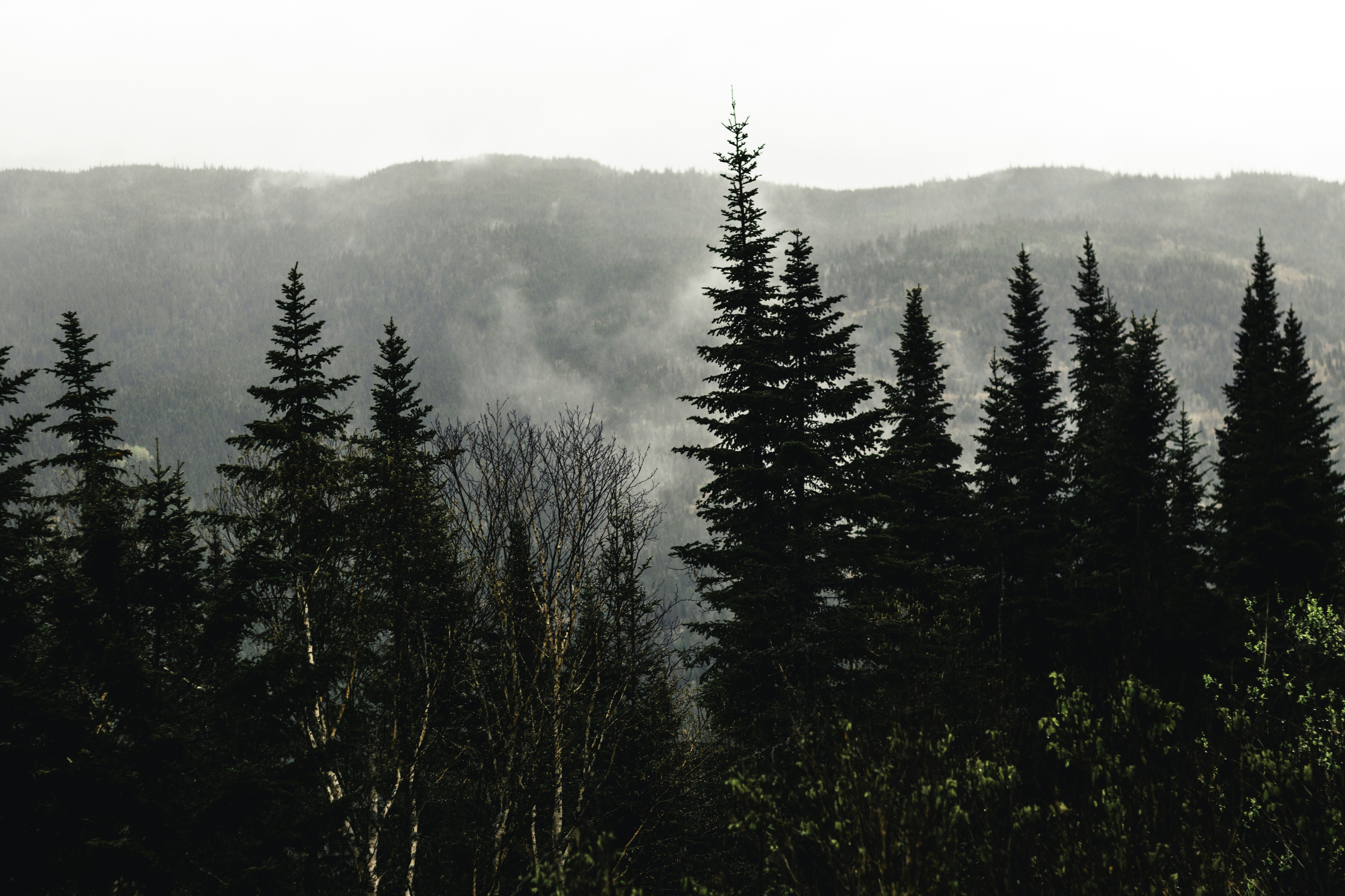 Photo by lureofadventure