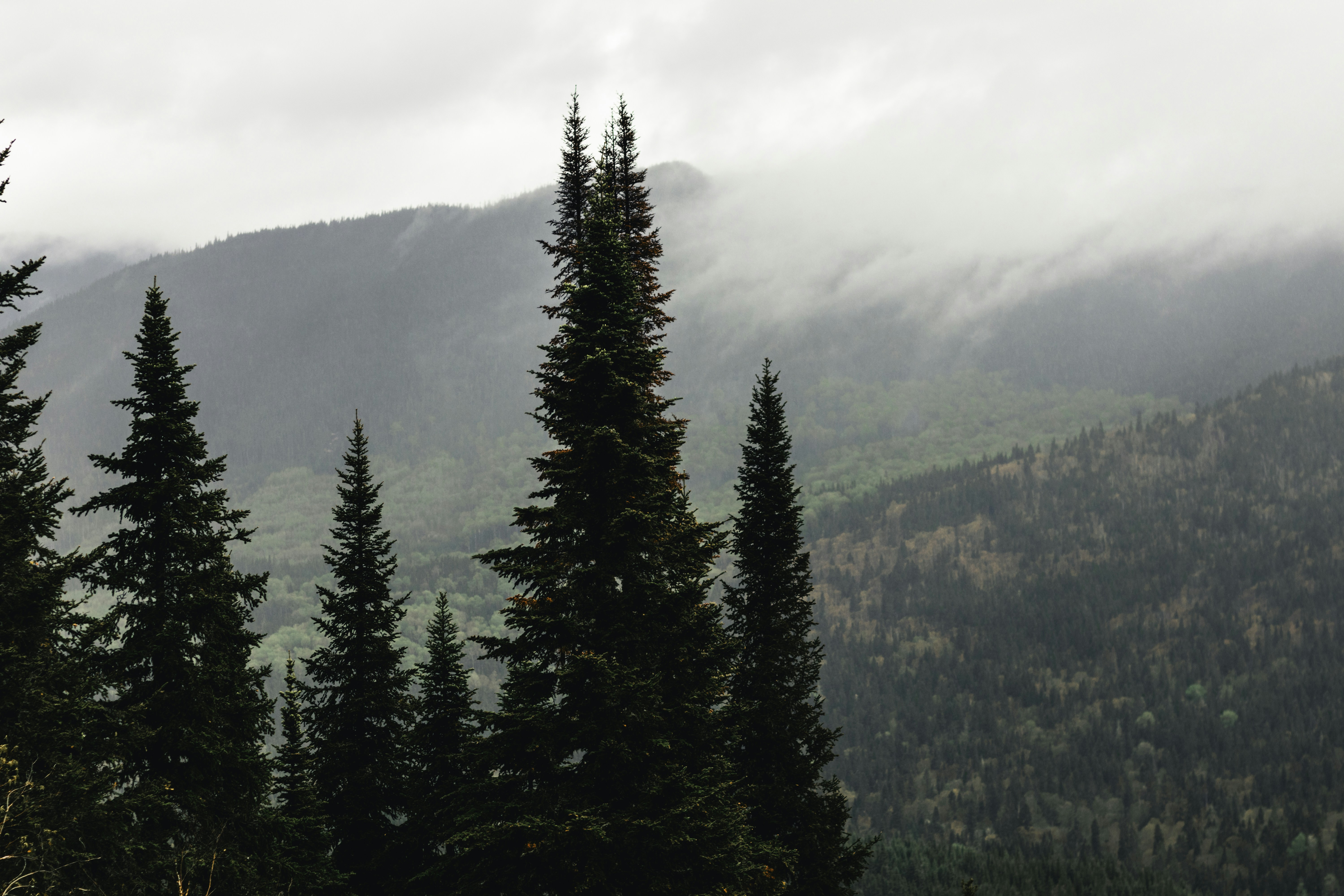 Photo by lureofadventure