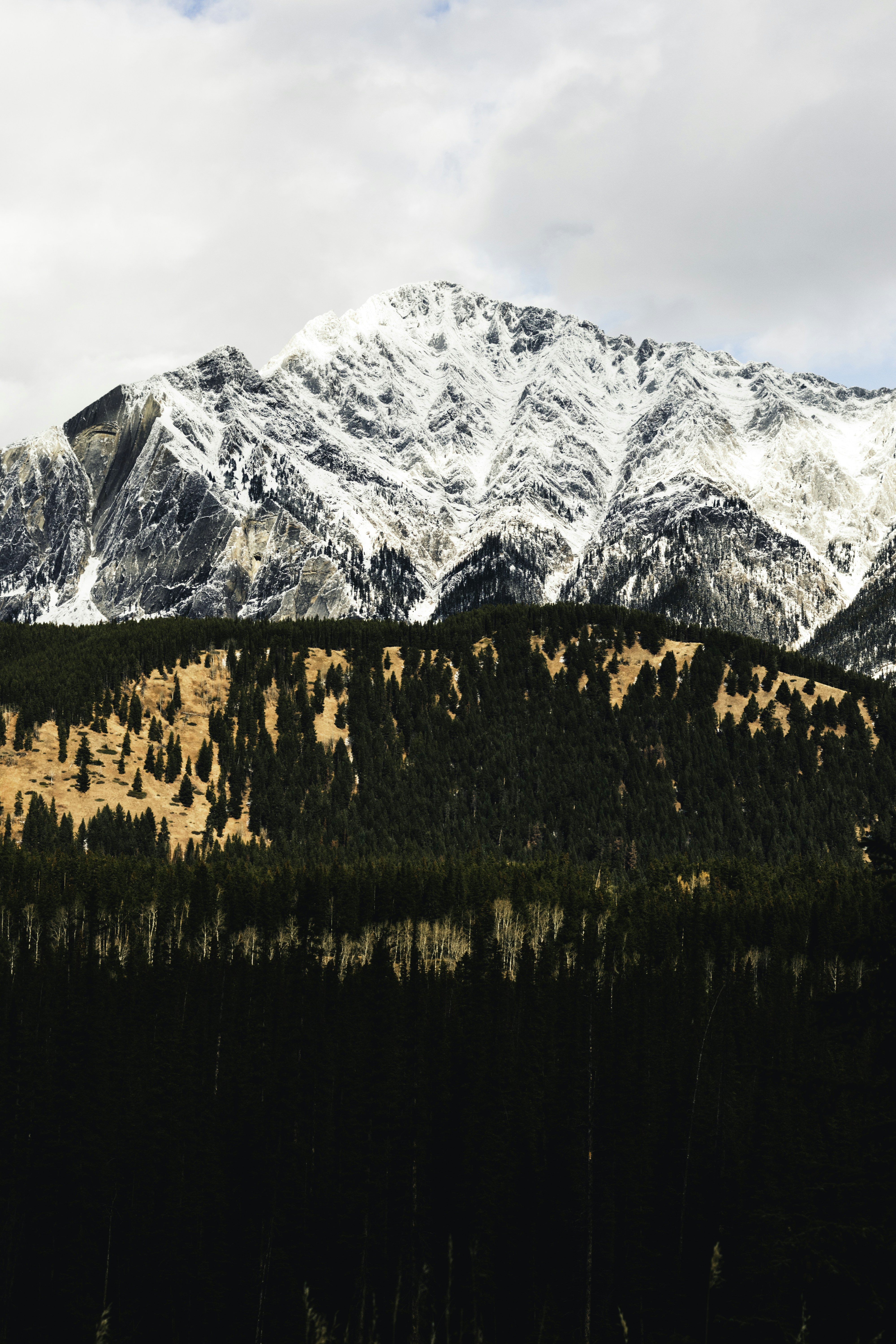 Photo by lureofadventure