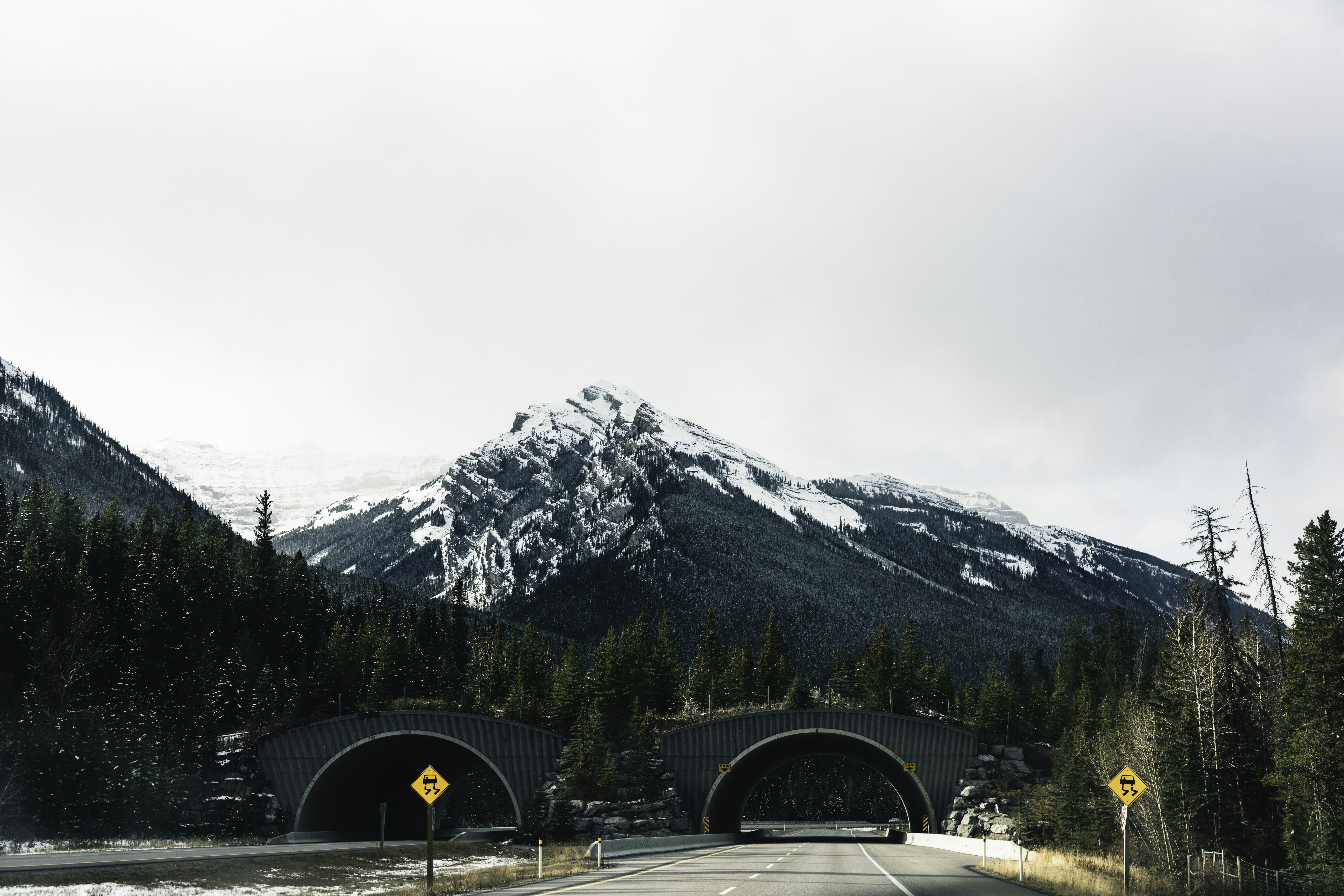 British Columbia - Steelhead