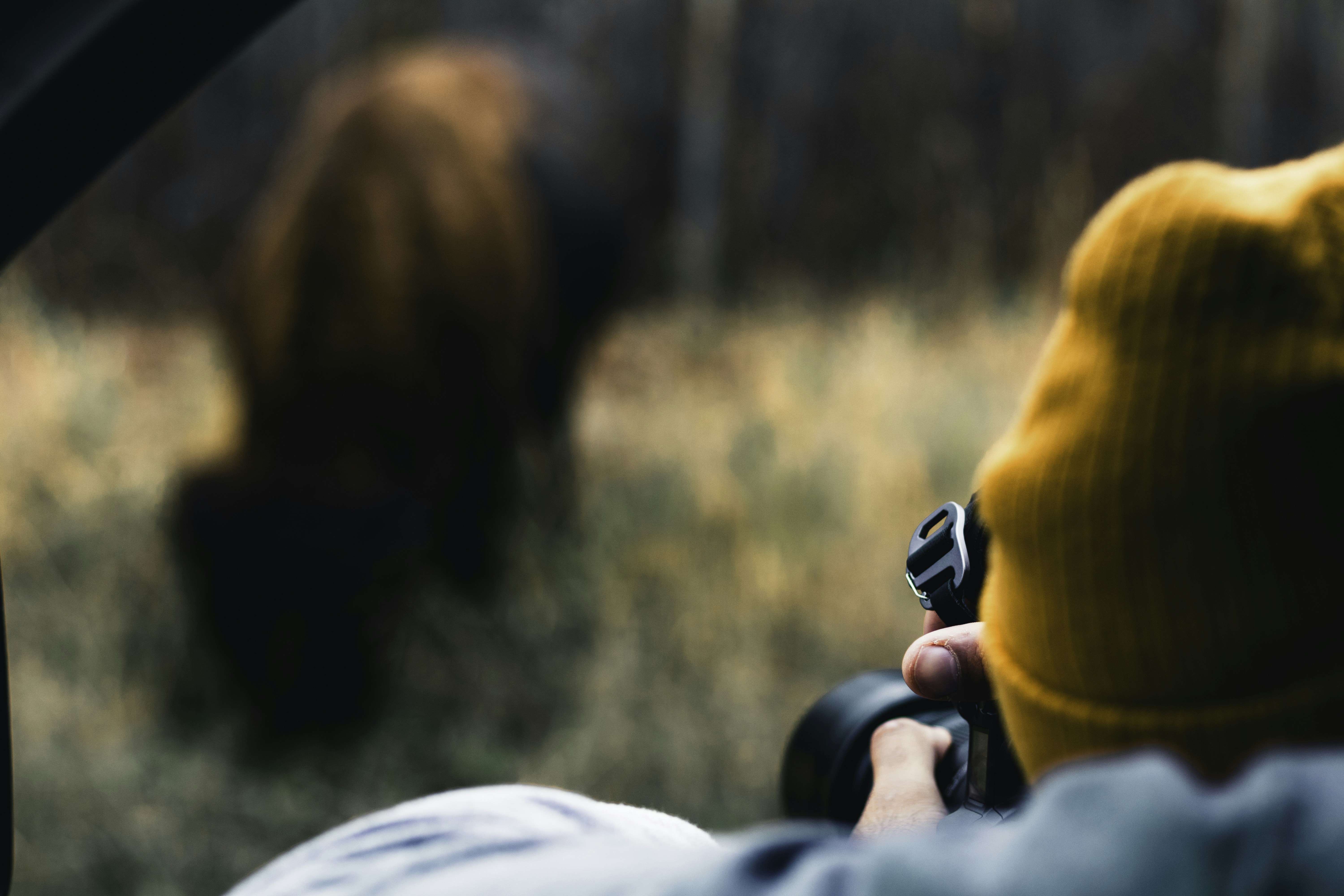 A person taking a picture of a bison through a car window